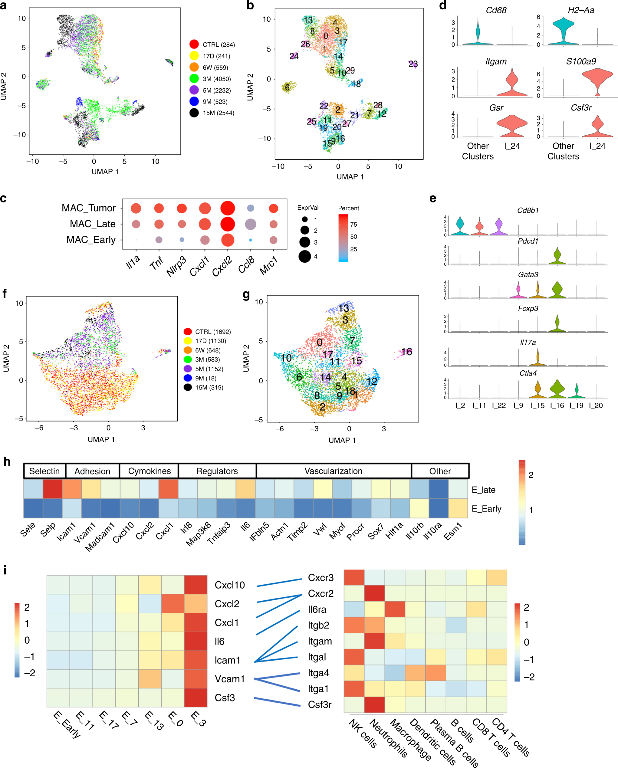 Fig. 7: Immune cell and endothelial cell heterogeneity.