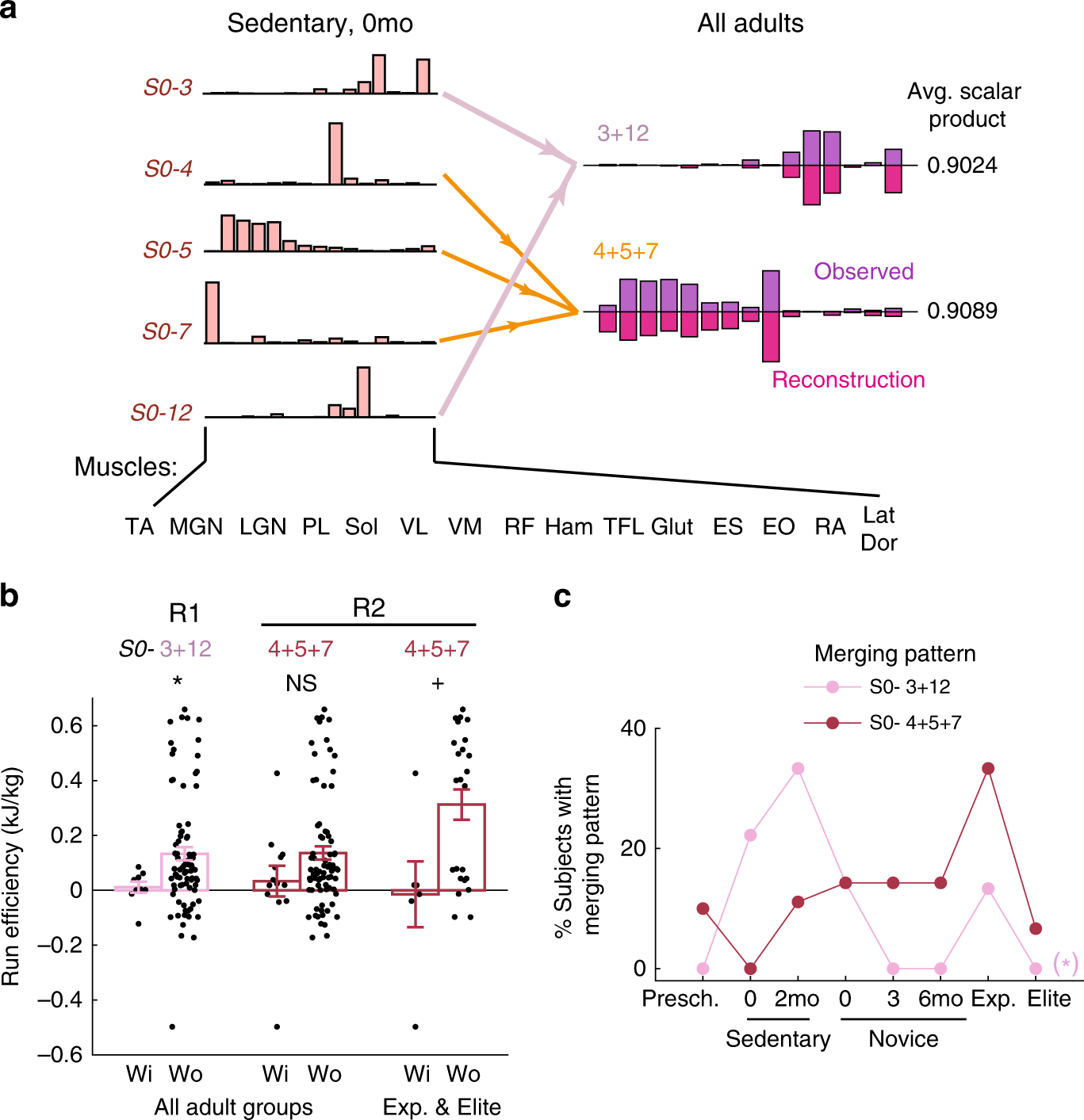 Fig. 5: Muscle synergy merging patterns associated with decreased running efficiency.