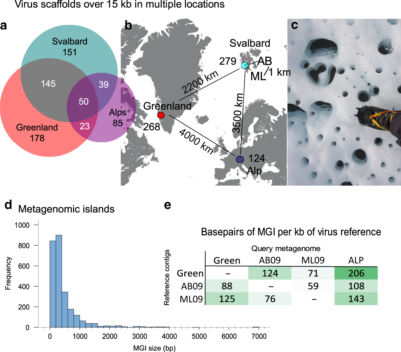 Fig. 1: Cryoconite virus recruitment and metagenomic islands.