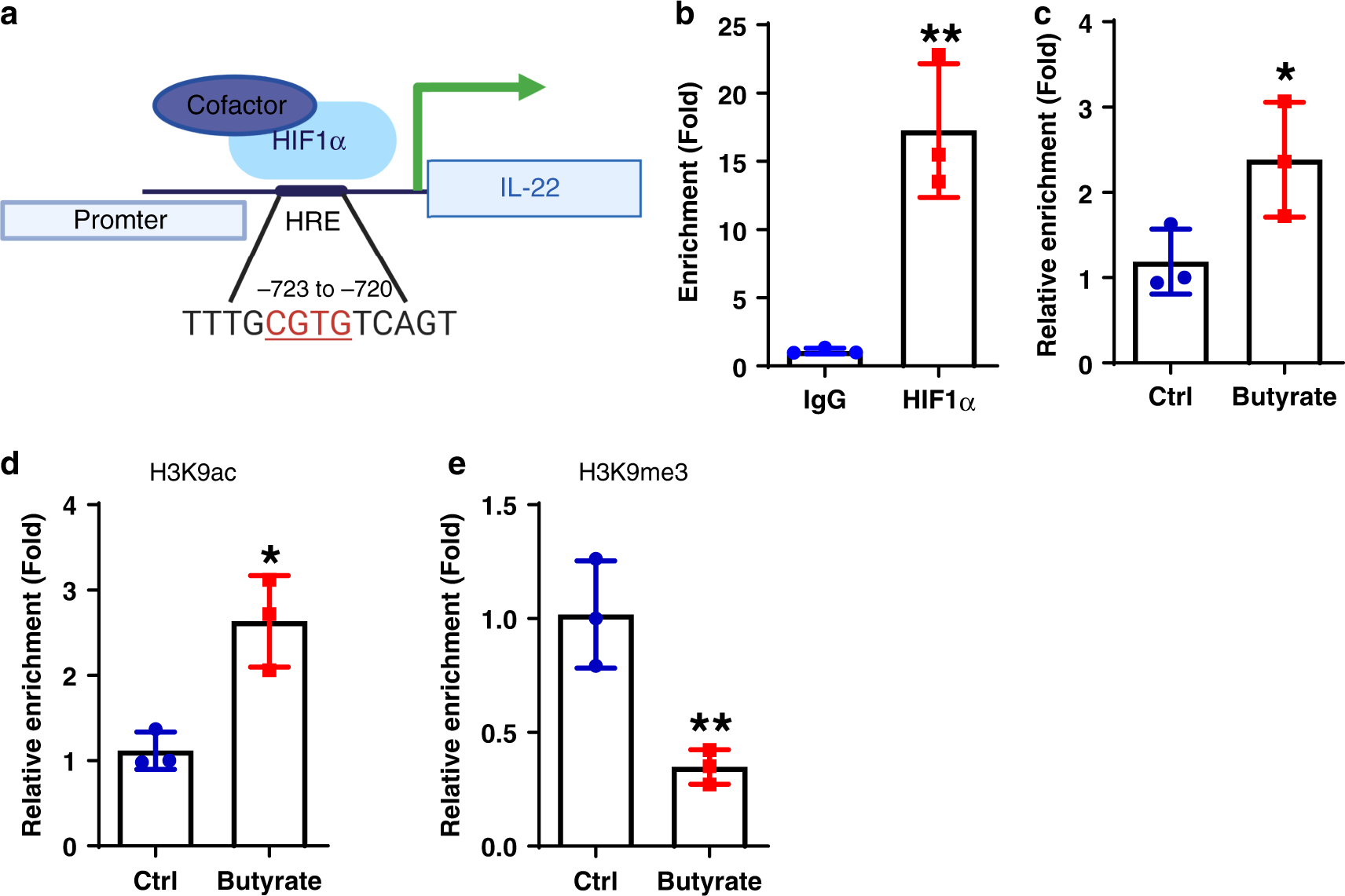 Fig. 6: Butyrate promotes HIF1α binding to Il22 promoter in CD4+ T cells.
