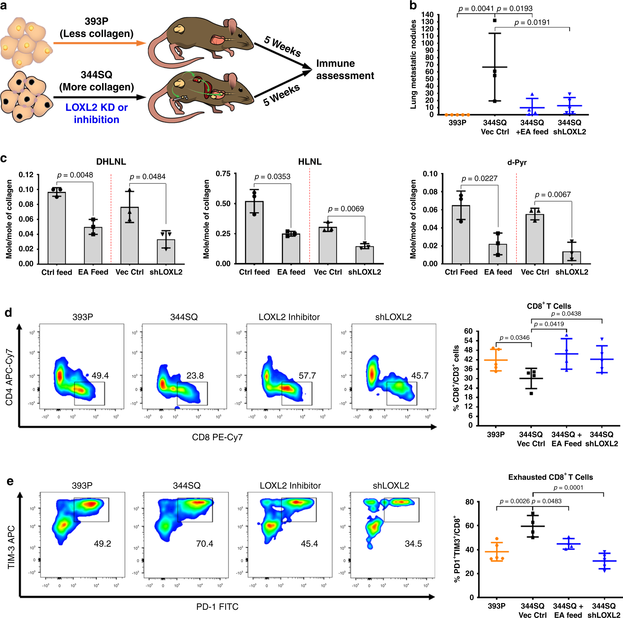 Fig. 2: Tumors with decreased collagen have increased CD8+ TILs and decreased exhausted CD8+ TILs.