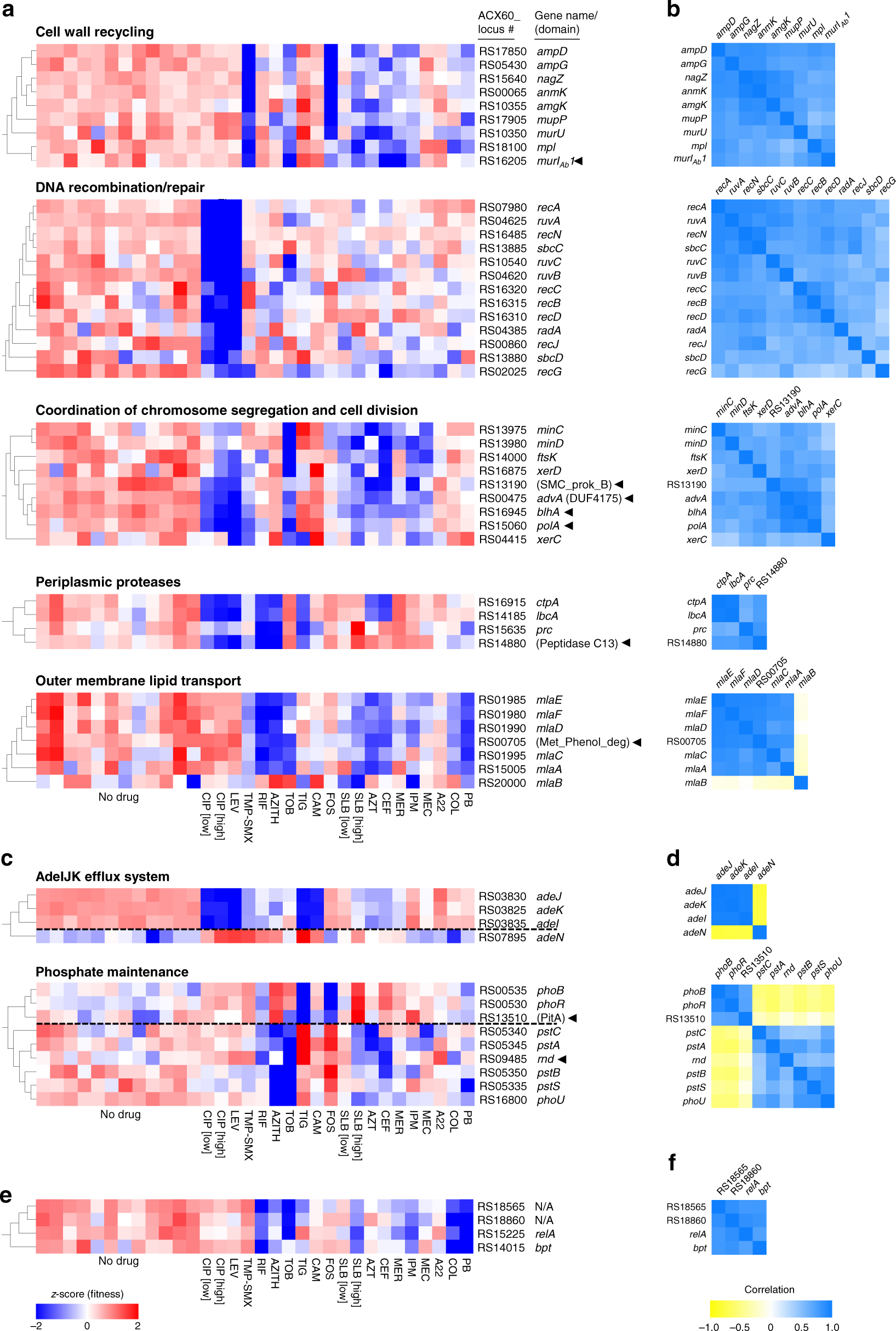 Fig. 2: Genes with interconnected functions show correlated phenotypic signatures.