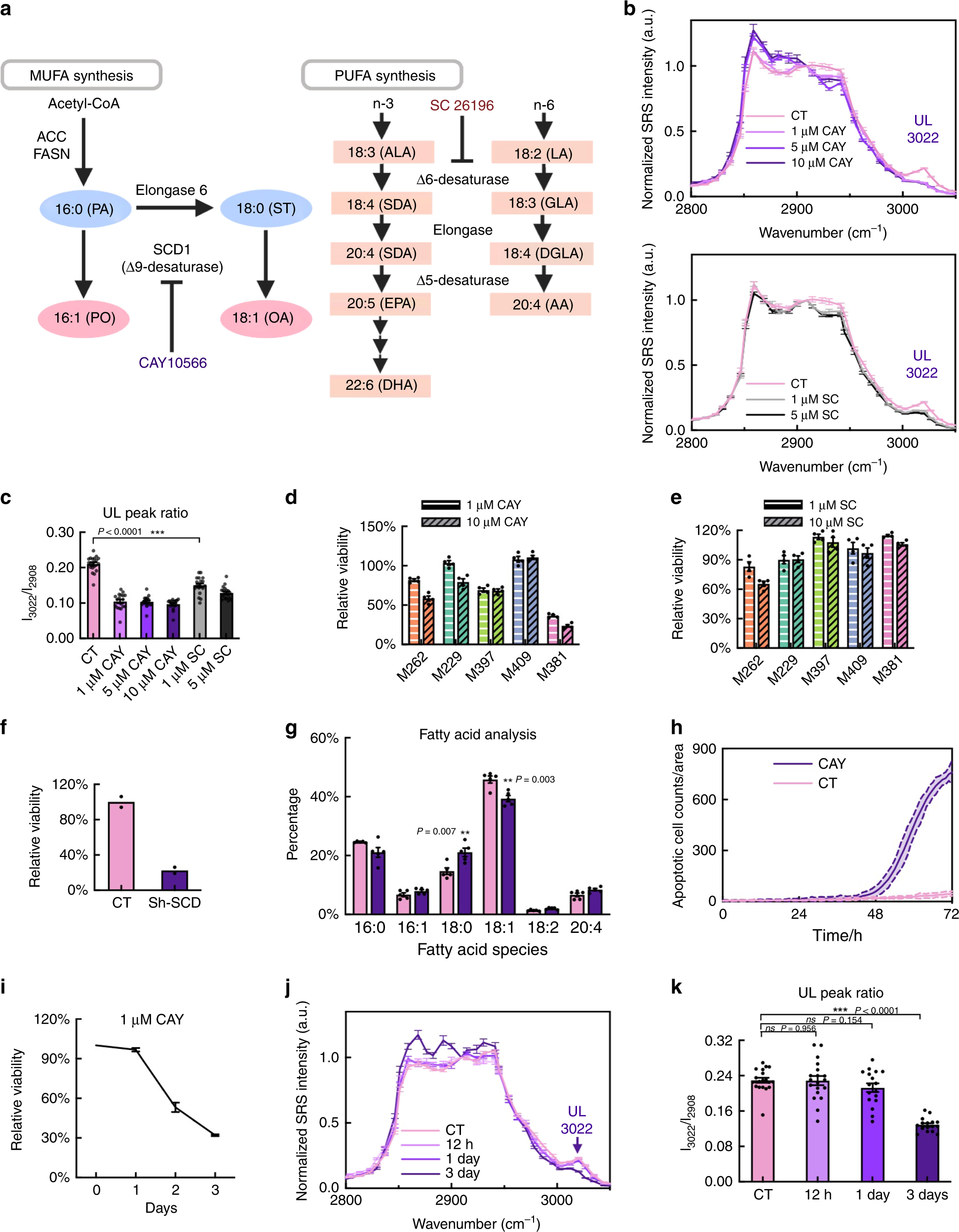Fig. 4: SCD1-dependent viability for the mesenchymal M381 cells.
