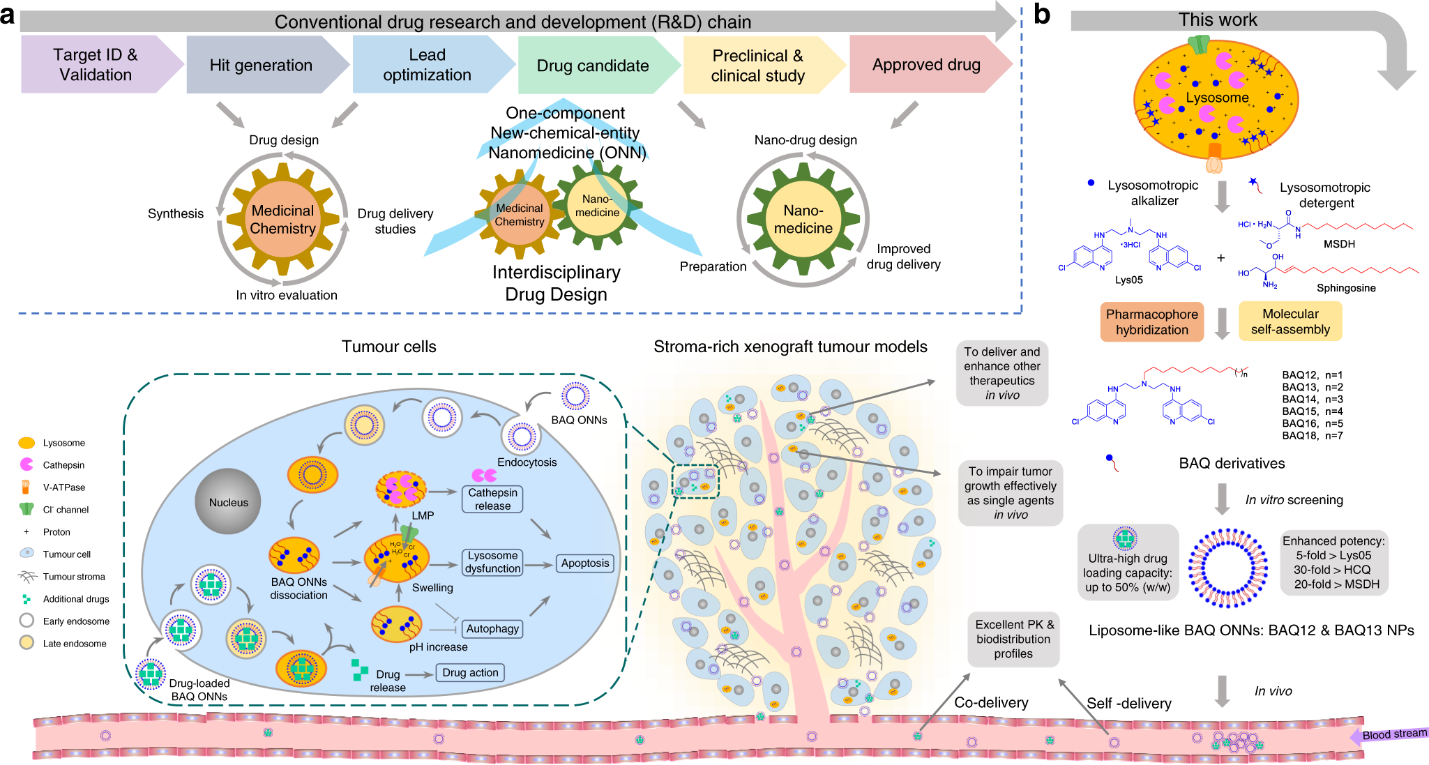 Pharmacophore hybridisation and nanoscale assembly to discover  self-delivering lysosomotropic new-chemical entities for cancer therapy |  Nature Communications