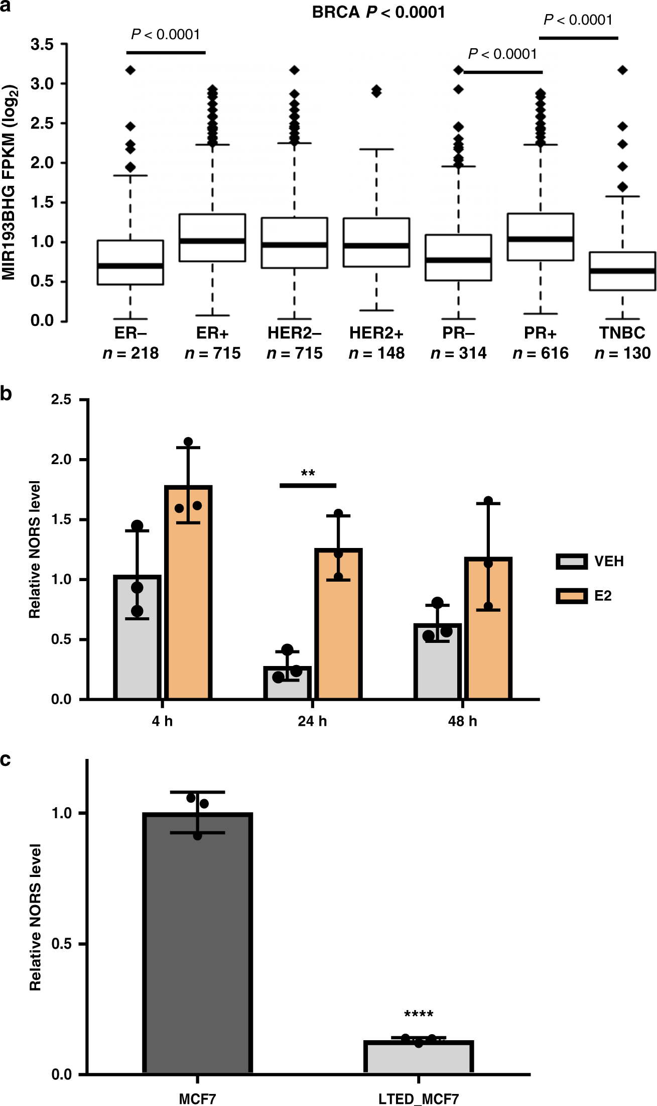 Fig. 3: lincNORS is associated with estrogen response.