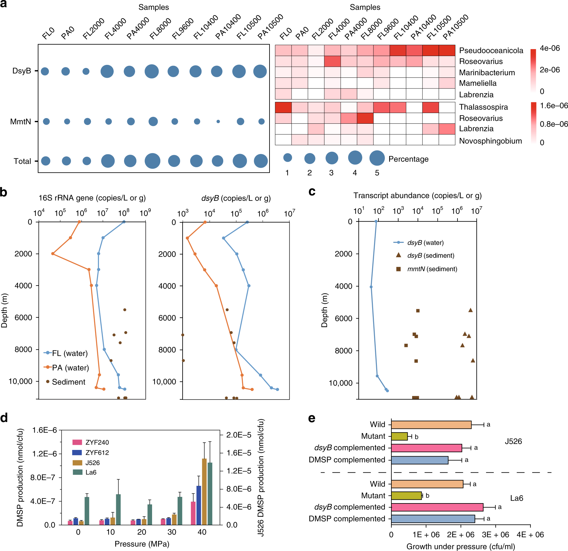 Fig. 2: The importance of DMSP synthesis genes in Challenger Deep samples.