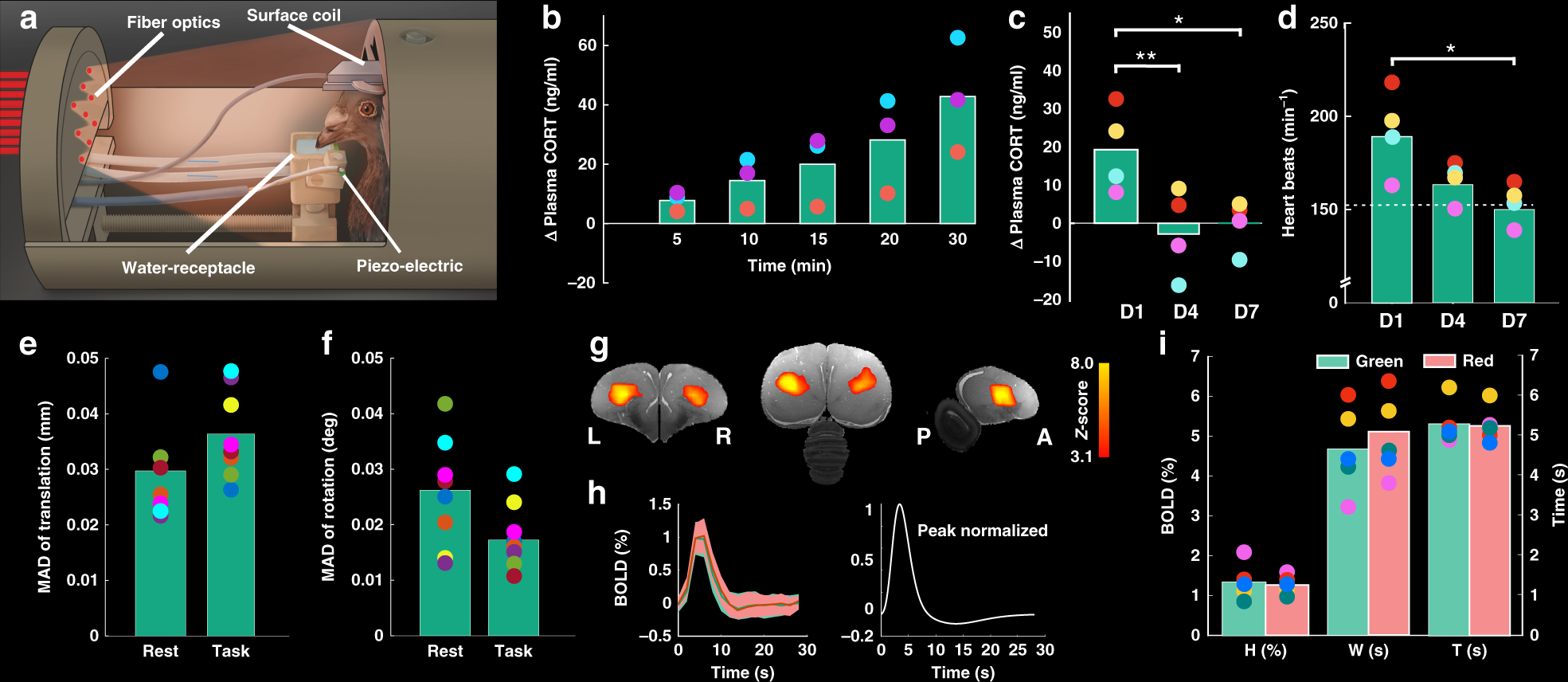 Event-related functional MRI of awake behaving pigeons at 7T | Nature  Communications