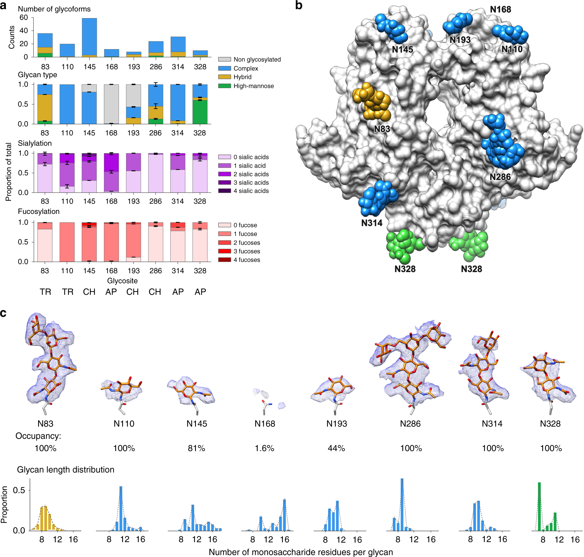 Fig. 3: N-glycosylation of HKU1 HE.