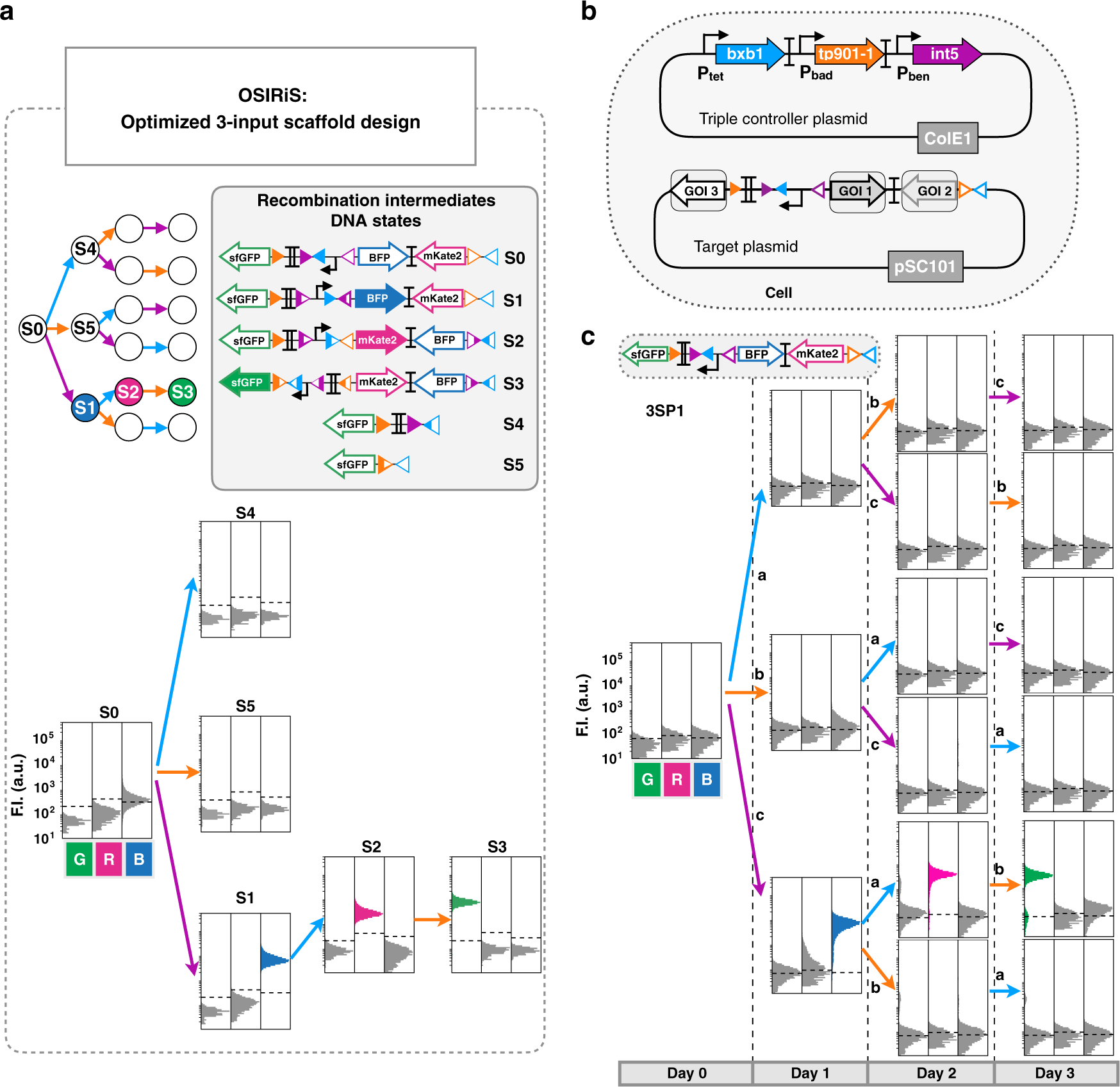 Fig. 5: Characterization of scaffold for 3-input history-dependent programs.