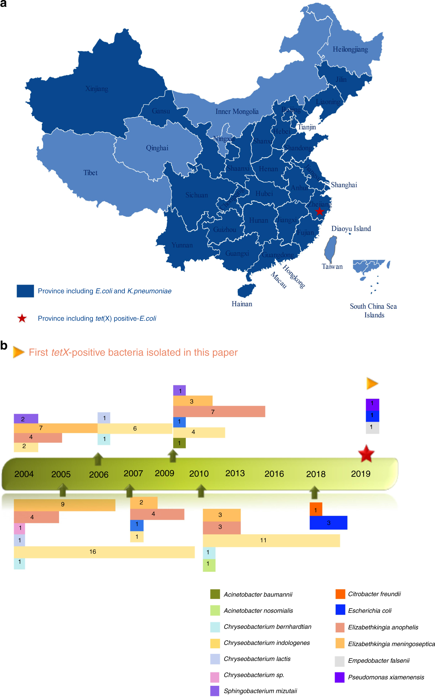 Fig. 1: Distribution of tet(X)-positive bacterial strains.