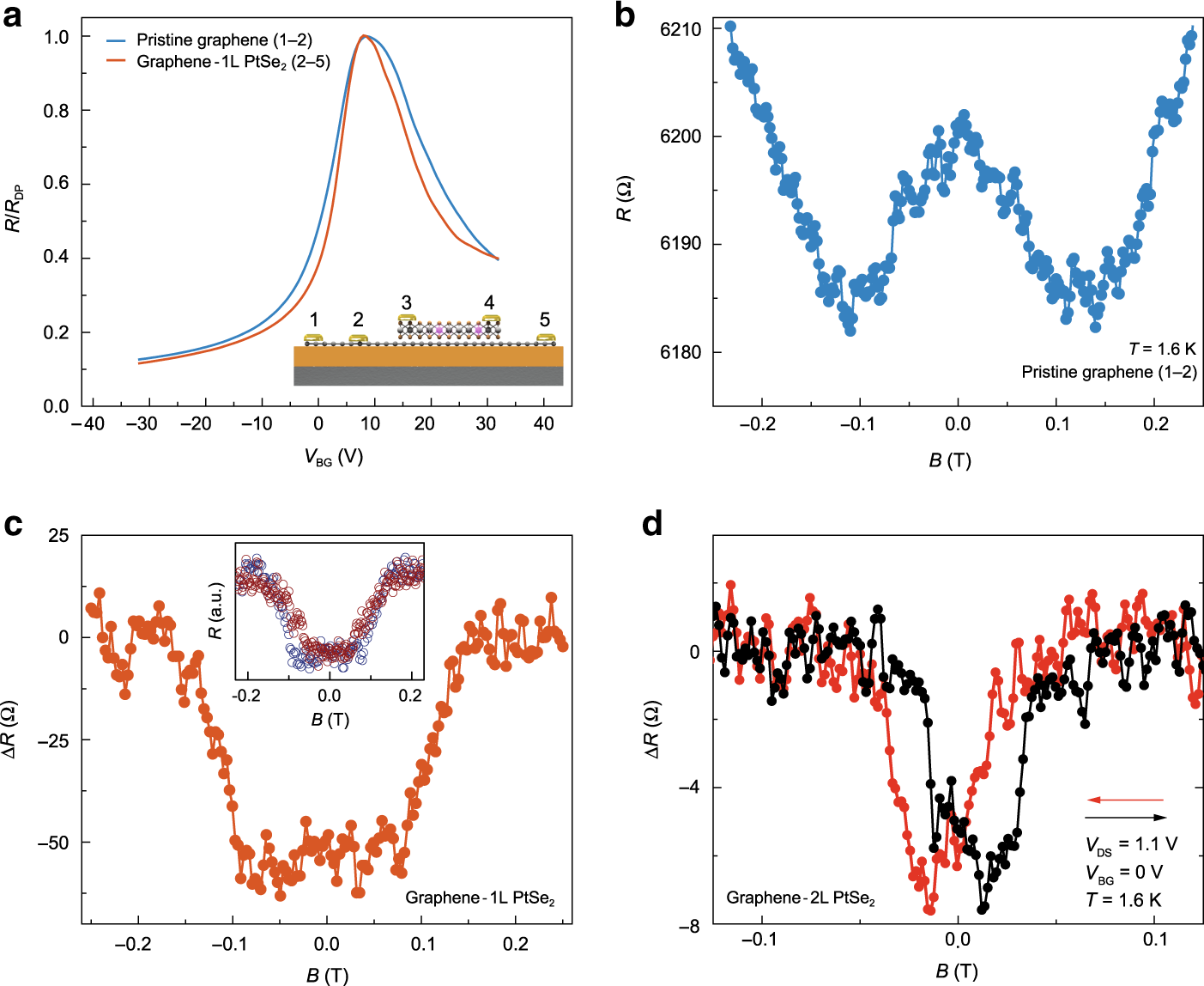 Fig. 3: Induced magnetization in monolayer graphene.