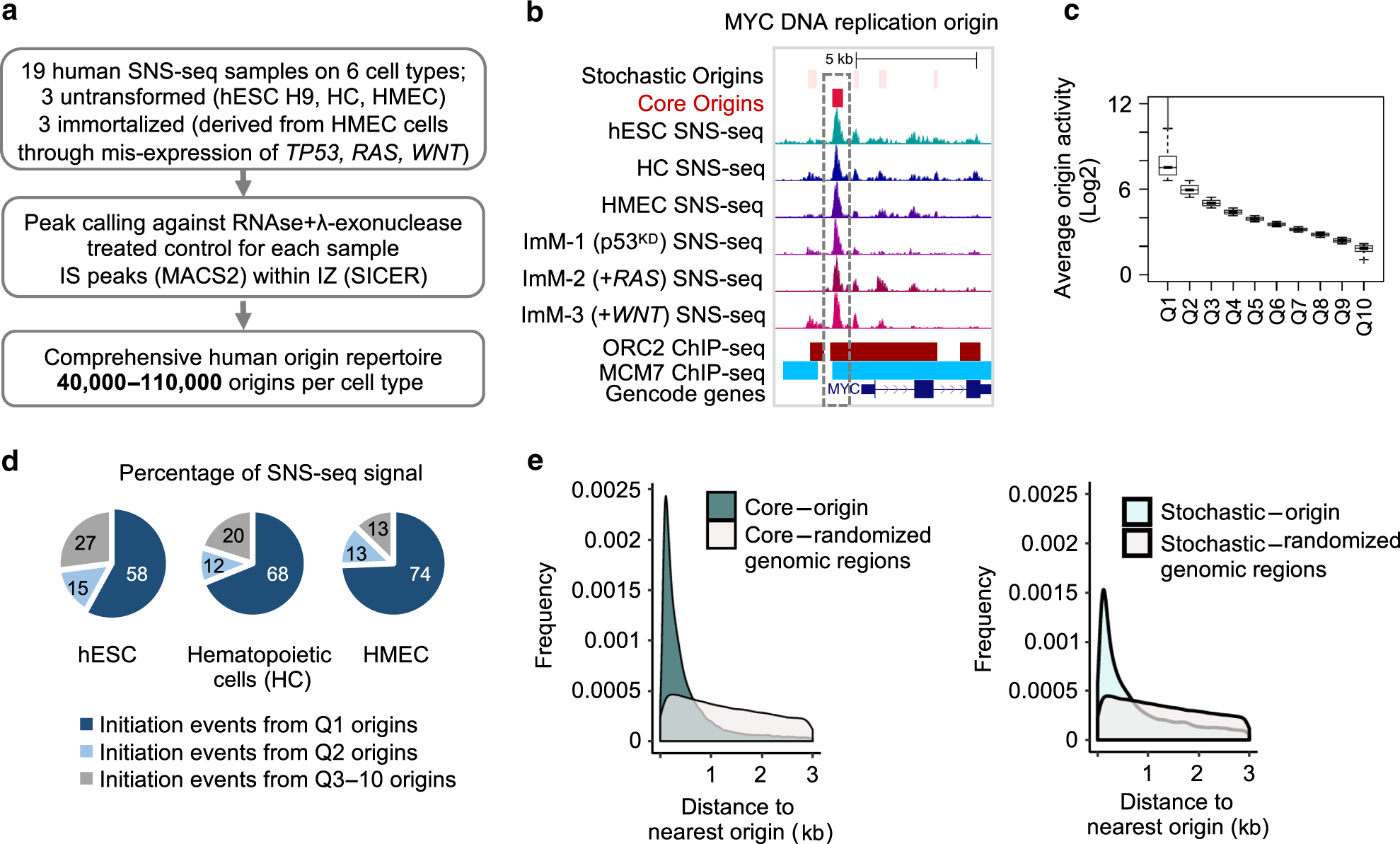 A Predictable Conserved Dna Base Composition Signature Defines Human Core Dna Replication Origins Nature Communications