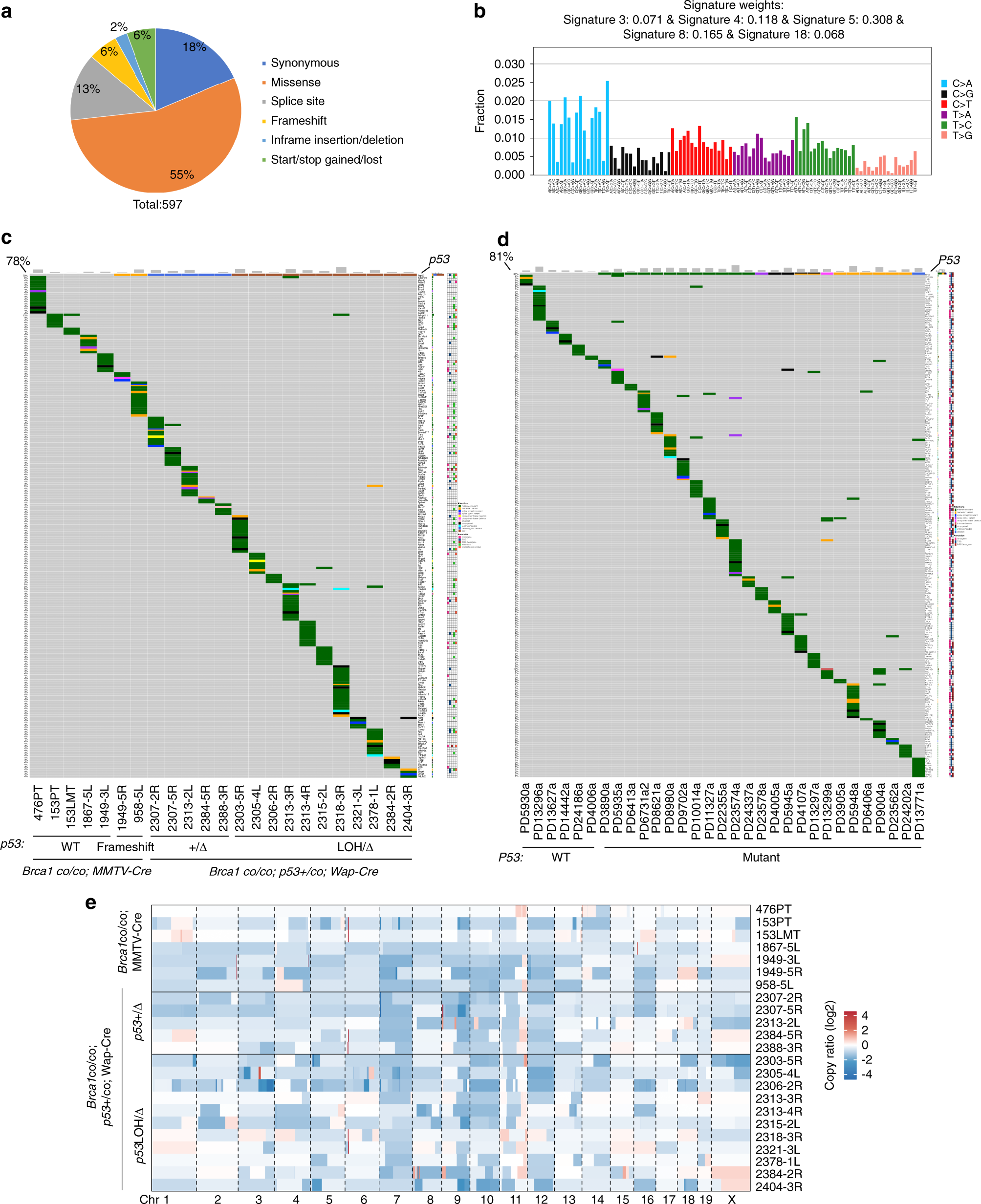 BRCA1 (3d Structure), a Human Tumor Suppressor Gene, Found in Al