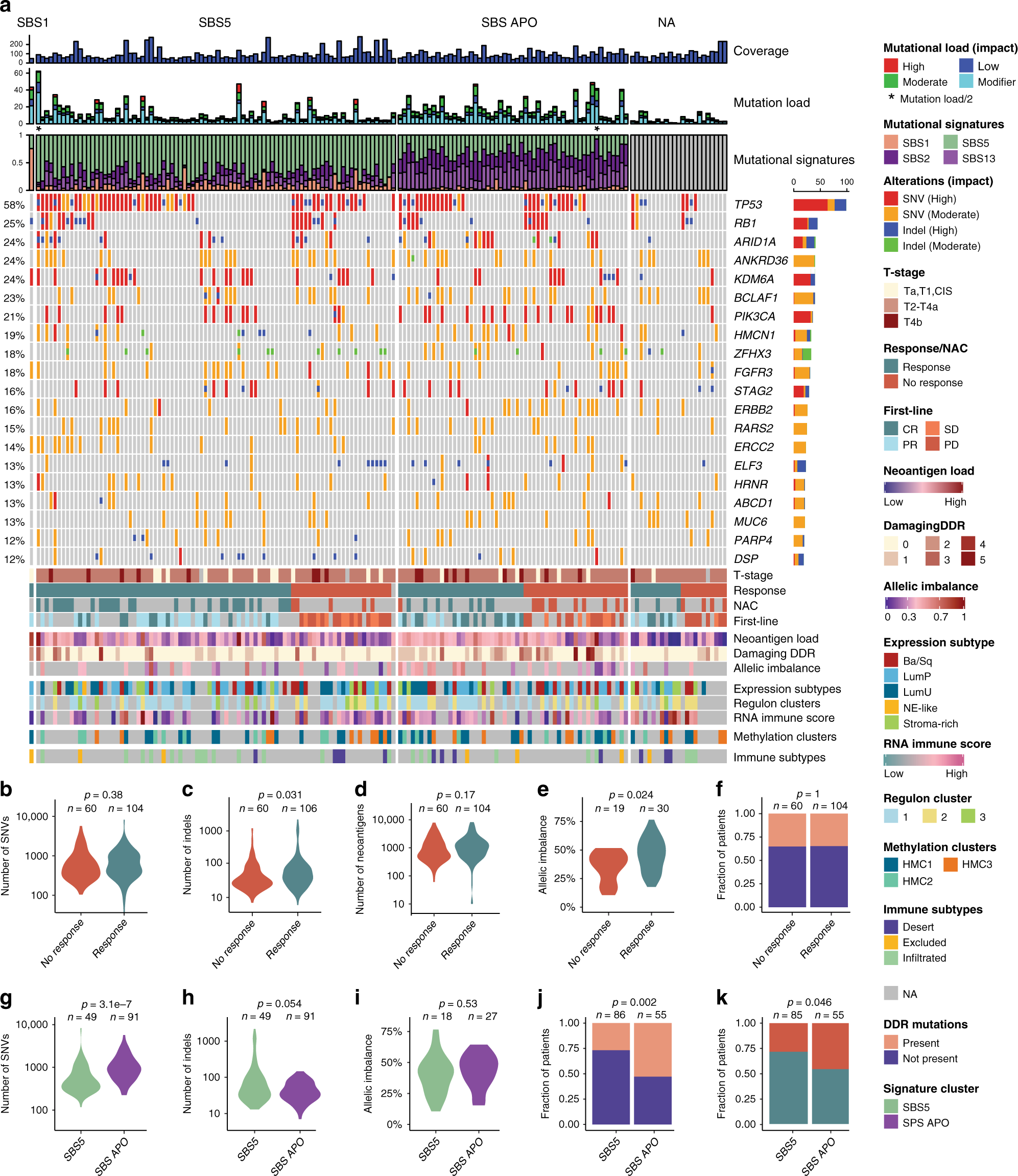 Fig. 1: Overview of the genomic alterations correlated to chemotherapy response.