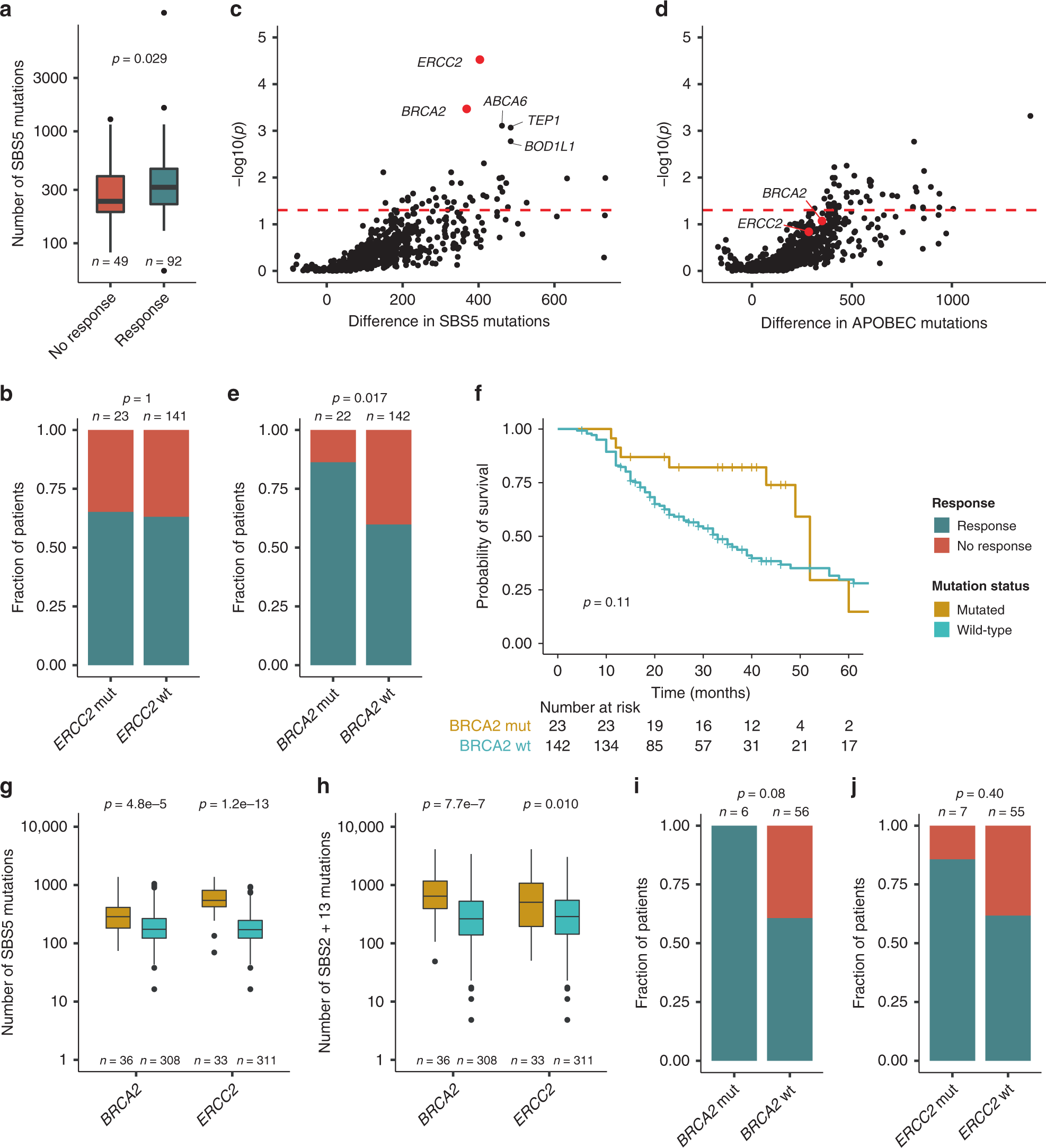 Fig. 2: BRCA2 mutated tumors are associated with mutations in an SBS5 context and response to chemotherapy.