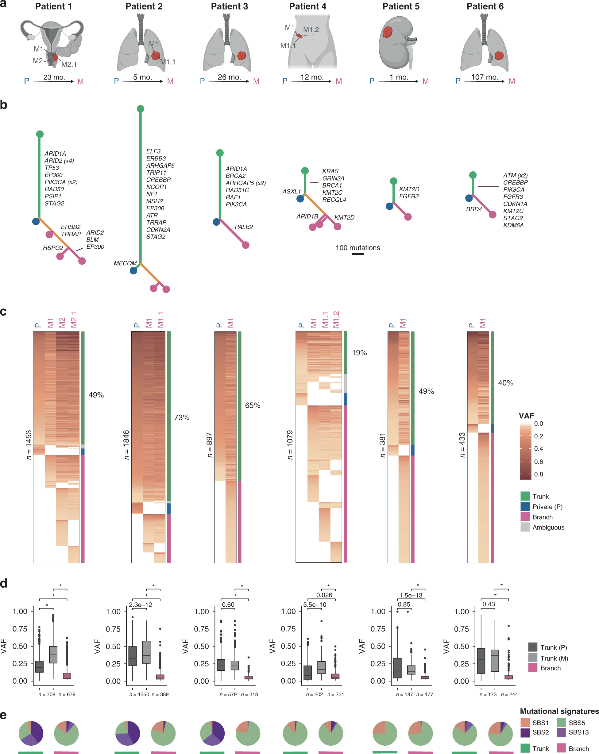 Fig. 3: Delineation of metastatic evolution before chemotherapy.