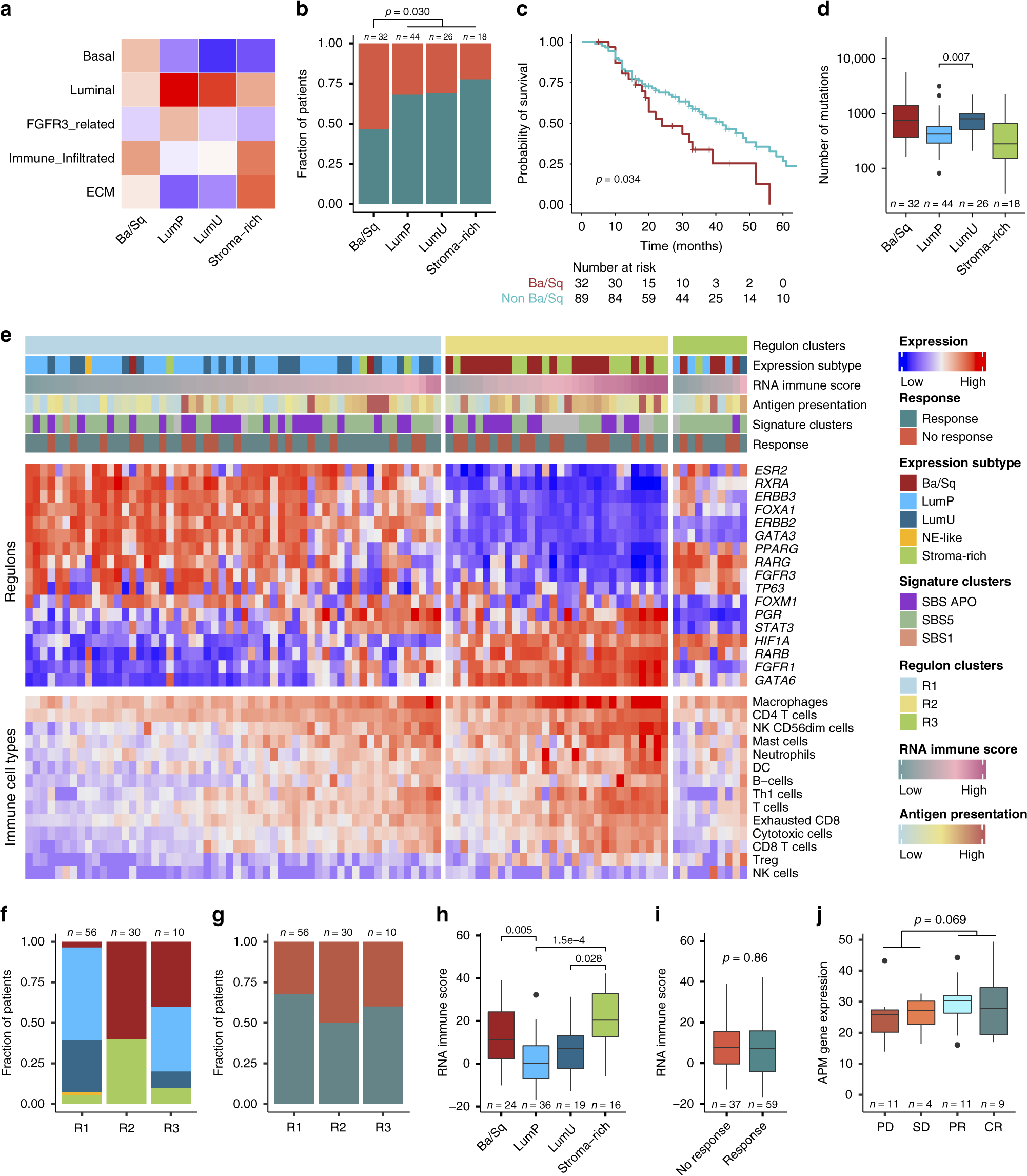 Fig. 4: Gene expression characteristics and relation to chemotherapy response.