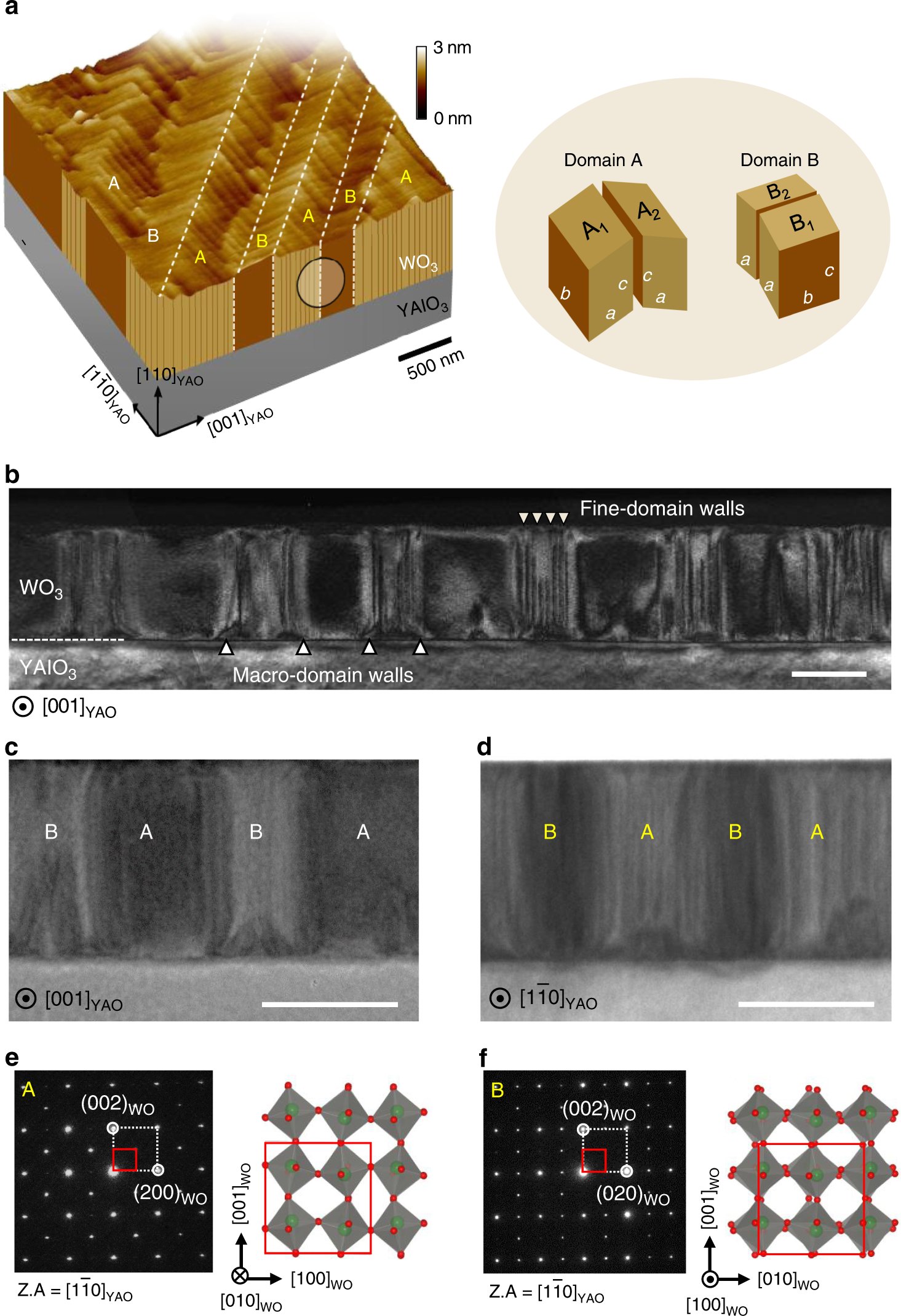 Flexopiezoelectricity at ferroelastic domain walls in WO3 films | Nature  Communications