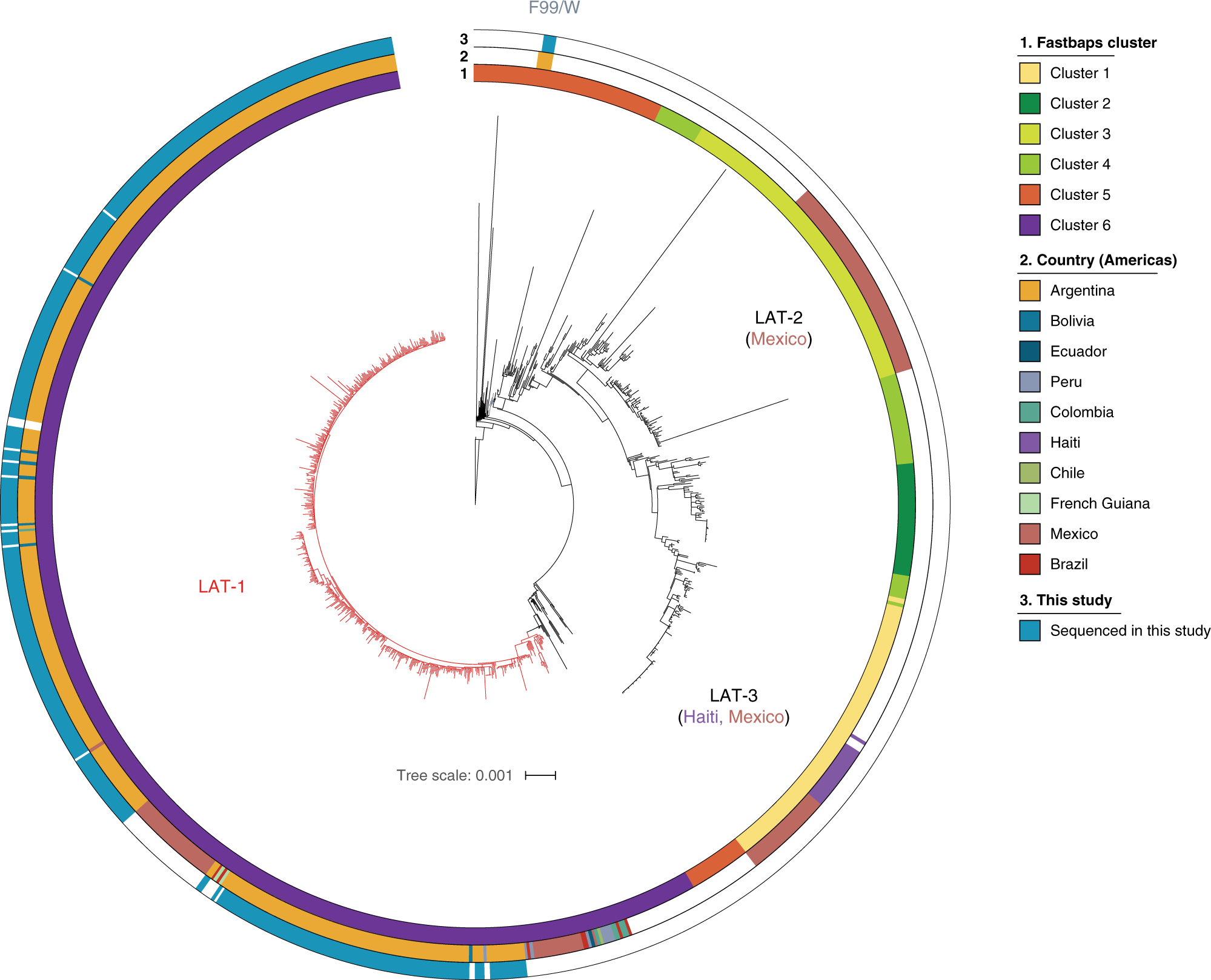 Fig. 2: The vast majority of Argentinian 7PET V. cholerae O1 are members of the LAT-1 sub-lineage.
