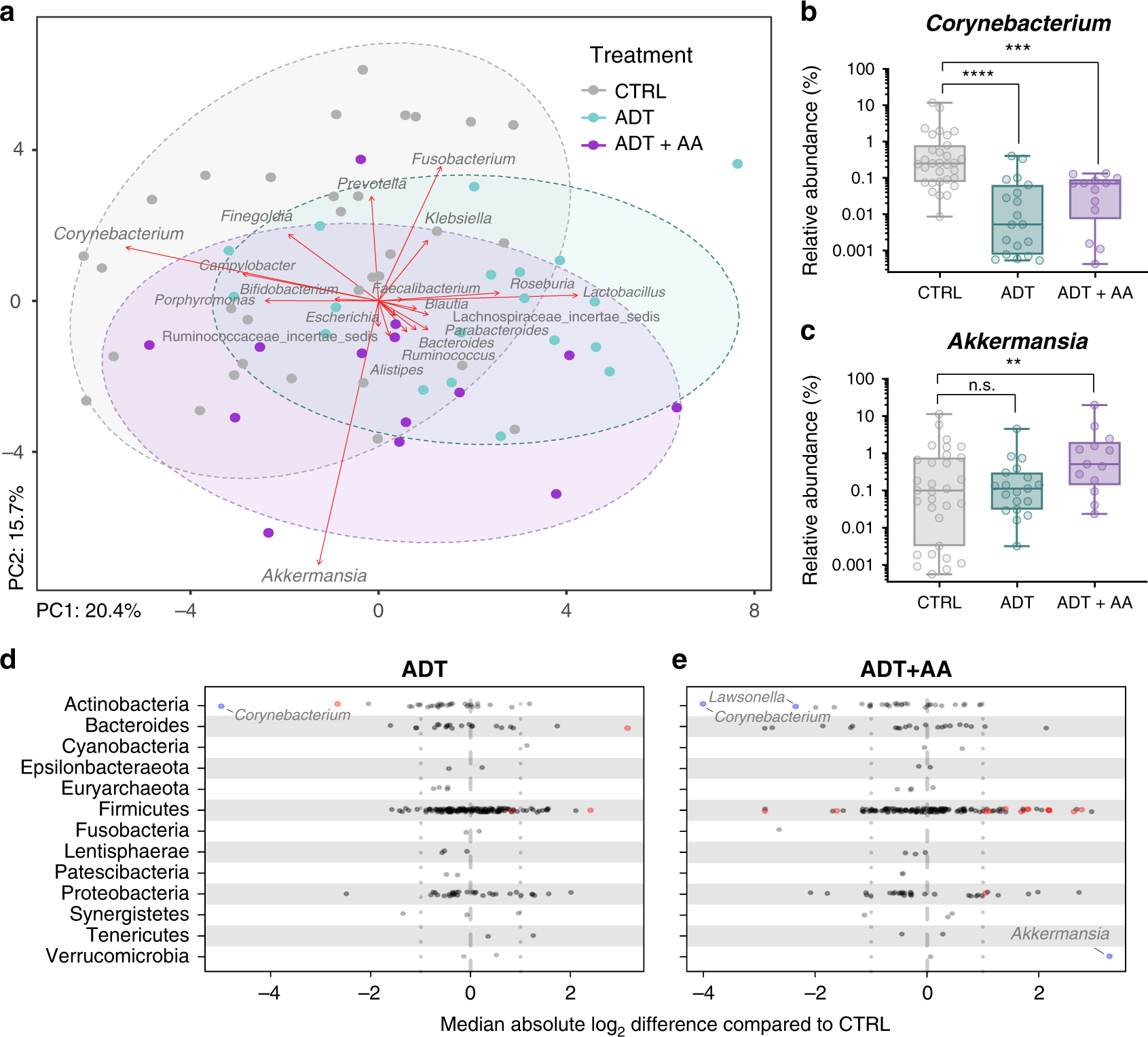 Fig. 1: Rectal swab microbiota from prostate cancer patients receiving no treatment CTRL, ADT, or ADT + AA.