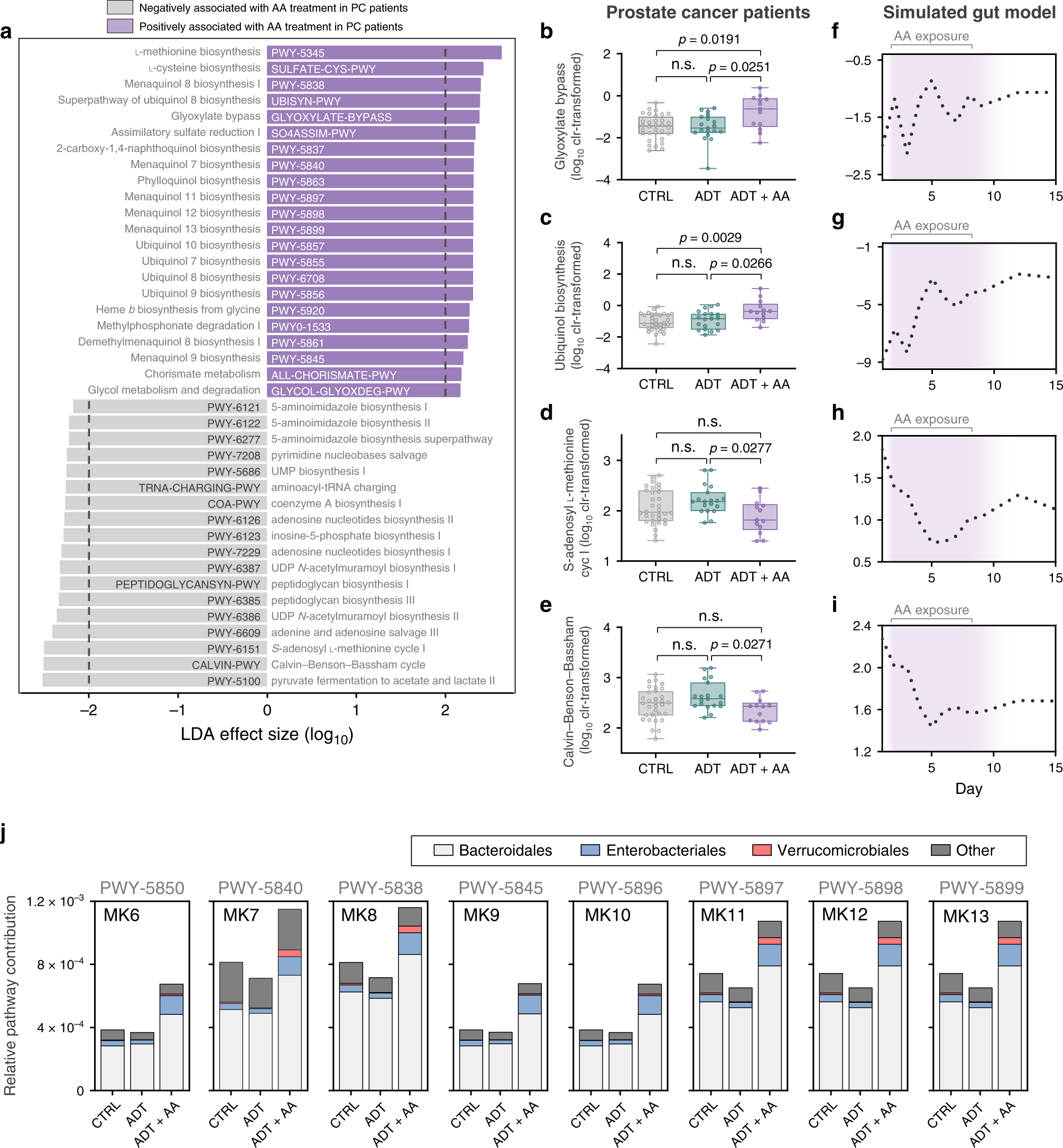 Fig. 4: Abiraterone acetate (AA) exerts a reproducible effect on the human gut microbiota in vivo and in vitro.
