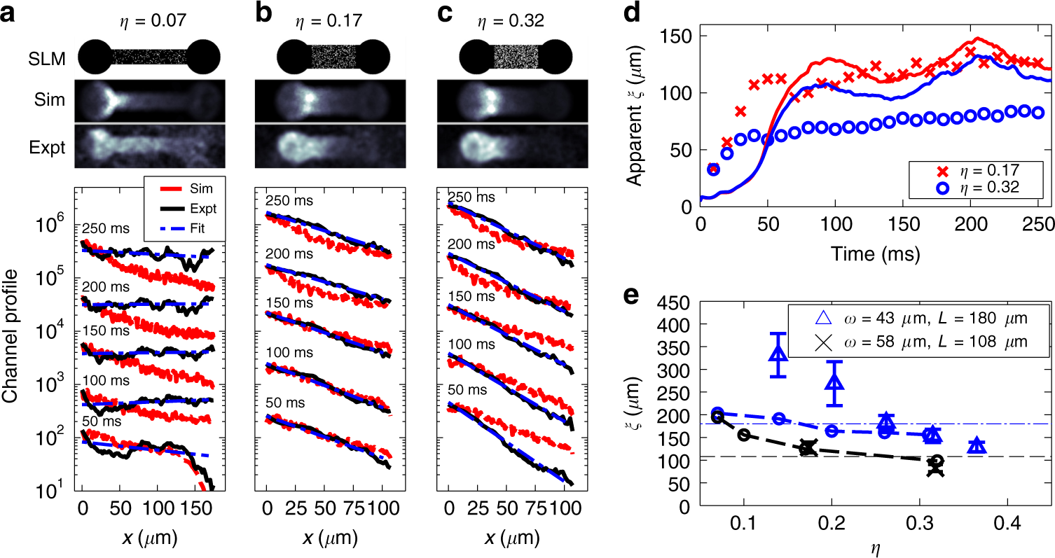 Fig. 2: Observation of exponential channel density profiles.
