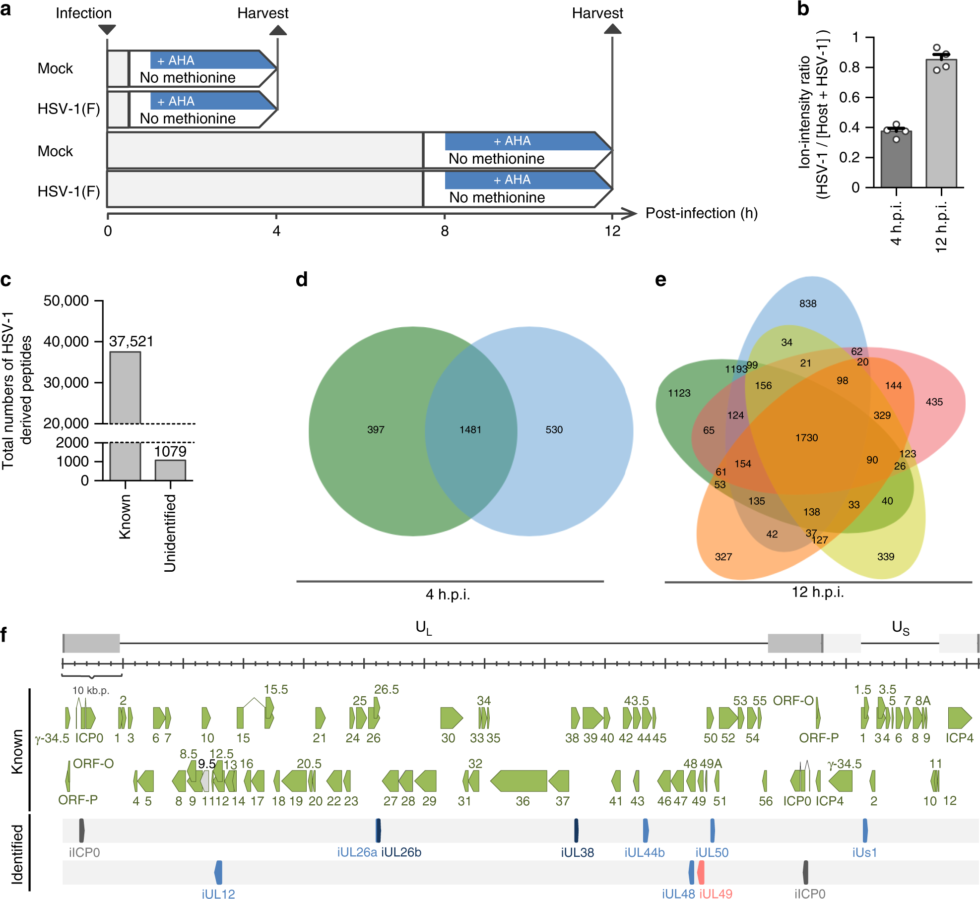Identification of a herpes simplex virus 1 gene encoding neurovirulence  factor by chemical proteomics | Nature Communications