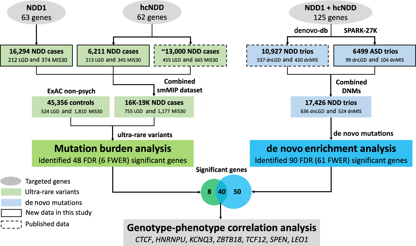 Large-scale targeted sequencing identifies risk genes for  neurodevelopmental disorders | Nature Communications