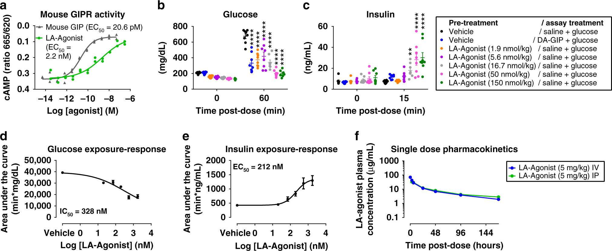 Fig. 1: Generation of a long-acting GIPR agonist (LA-Agonist) for chronic in vivo studies.