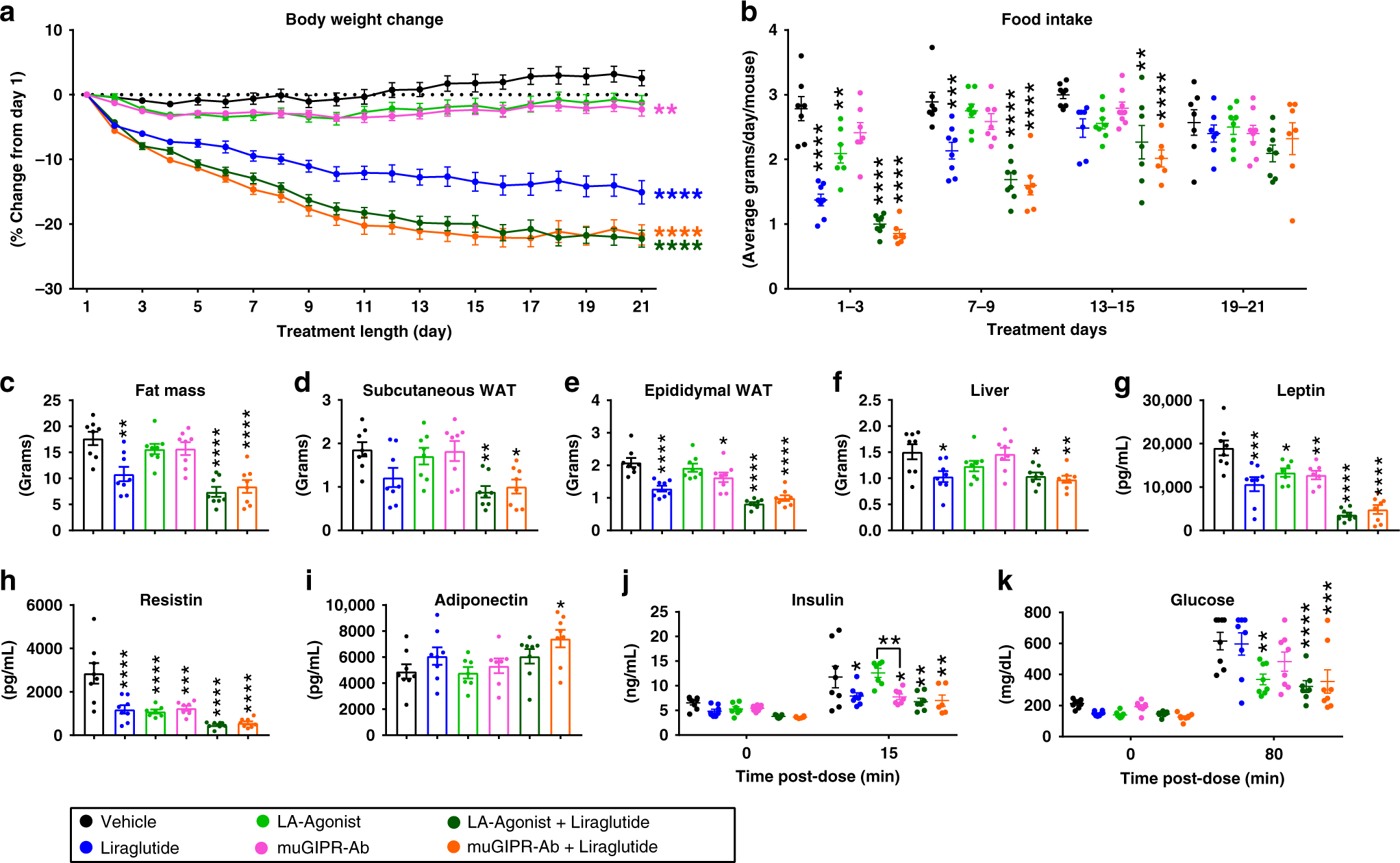 Fig. 2: LA-Agonist has the same effect on body weight as muGIPR-Ab.