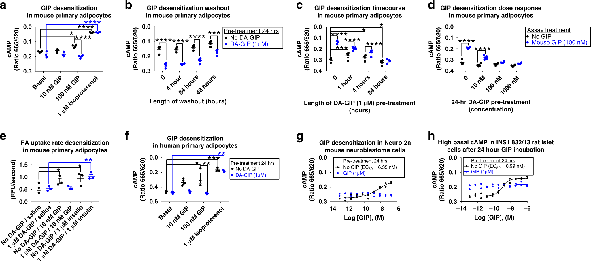 Fig. 7: Chronic GIPR agonism desensitizes GIPR activity in primary adipocytes.