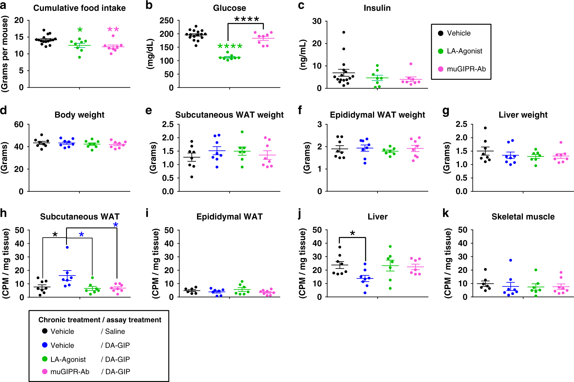 Fig. 9: Chronic GIPR agonism desensitizes adipocyte GIPR activity in vivo mimicking GIPR antagonism.