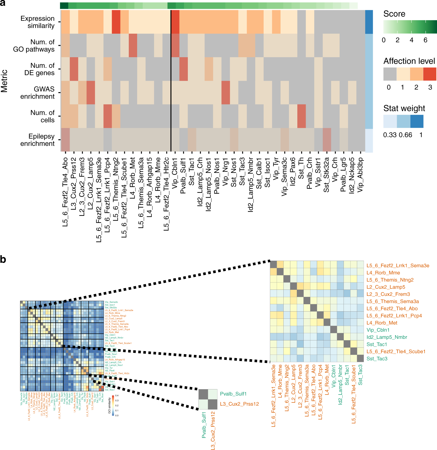 Fig. 8: Neuronal subtypes most affected by epilepsy based on integrative analysis.