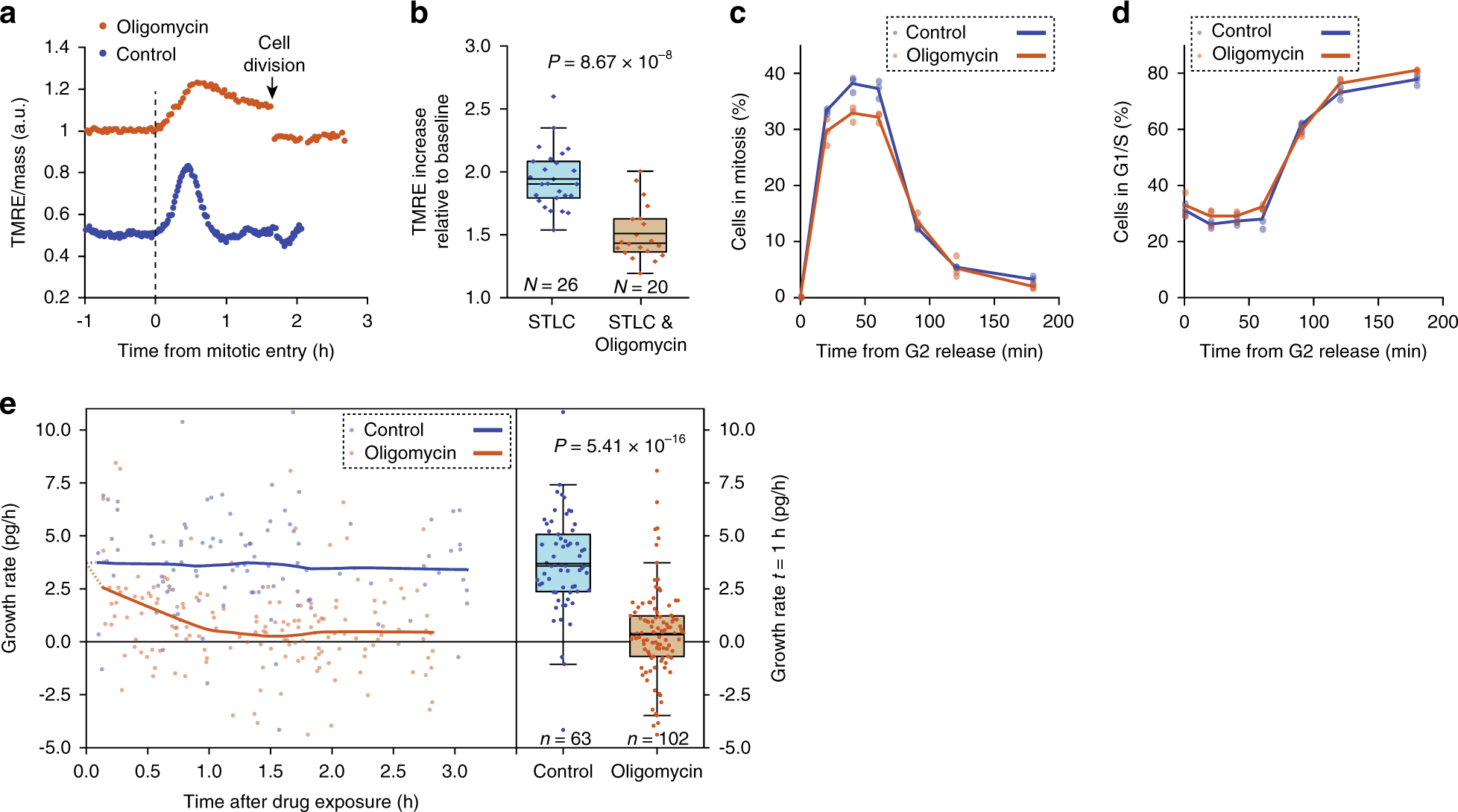 Fig. 3: Mitochondrial ATP synthase activity is required for cell growth, but not for cell division.