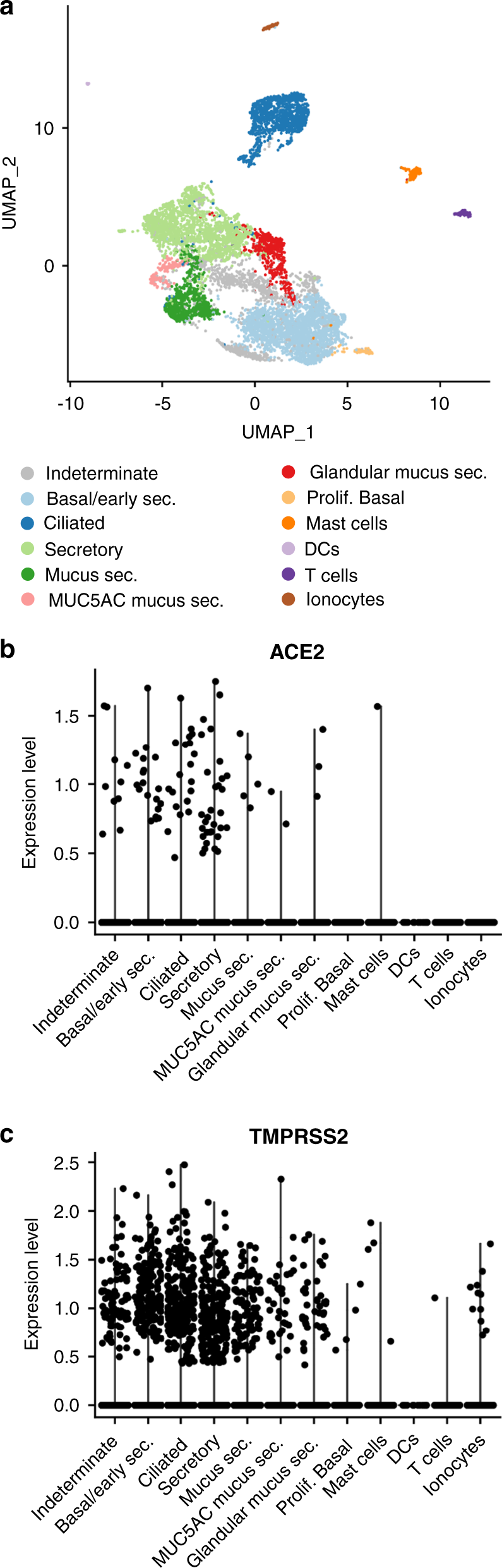 https://media.springernature.com/full/springer-static/image/art%3A10.1038%2Fs41467-020-18781-2/MediaObjects/41467_2020_18781_Fig1_HTML.png