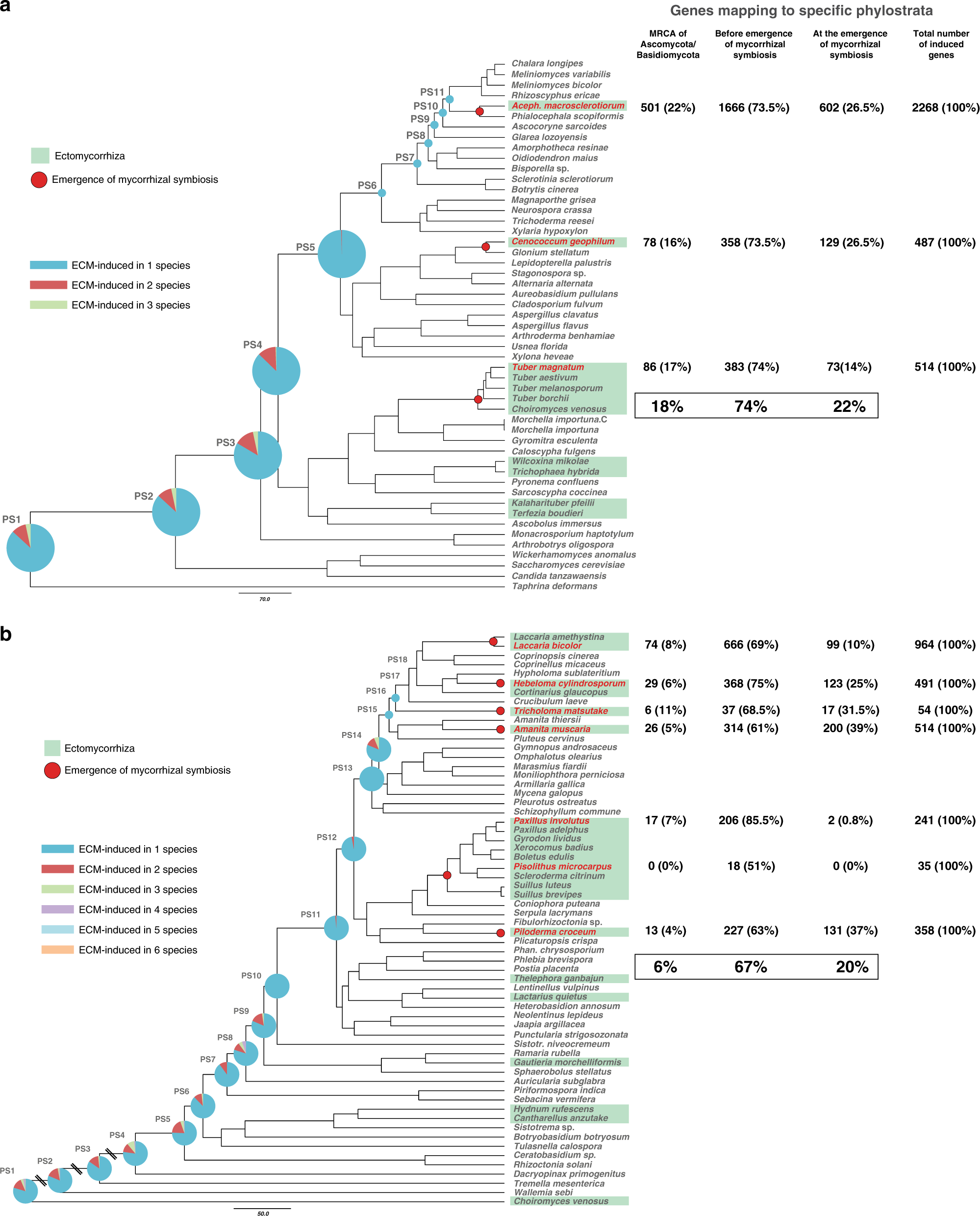 Fig. 6: Phylostratigraphy for ectomycorrhiza-specific upregulated genes.
