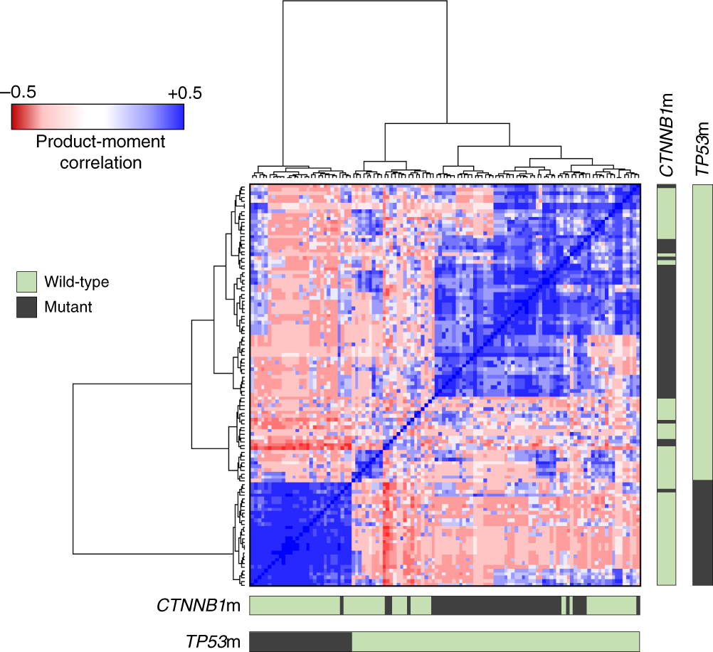 Fig. 2: Unsupervised clustering of endometrioid ovarian carcinomas by patterns of mutation.