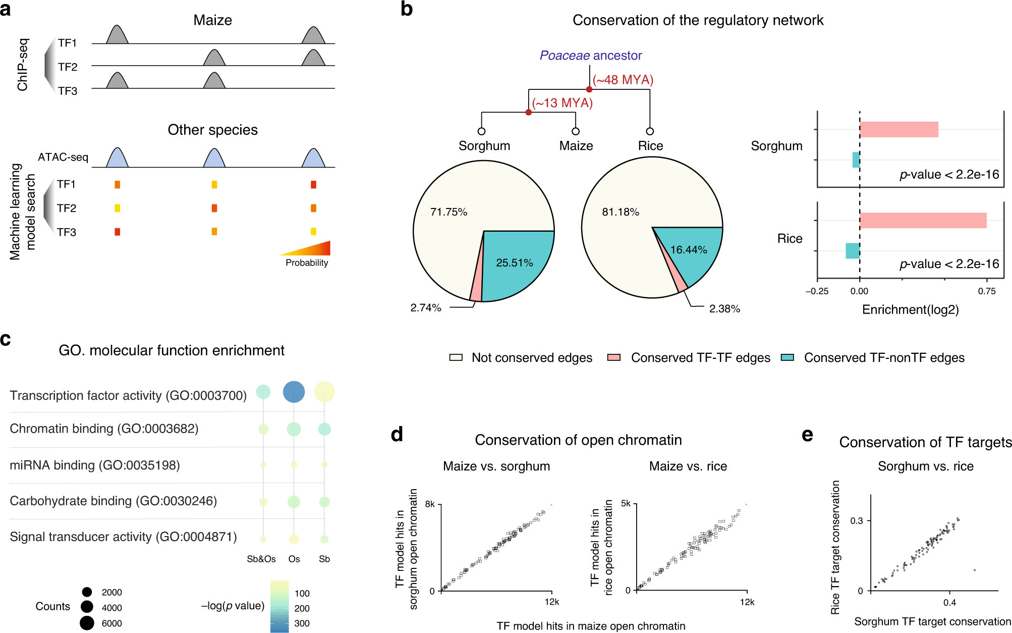 Fig. 7: Conservation of the TF regulatory interactions.