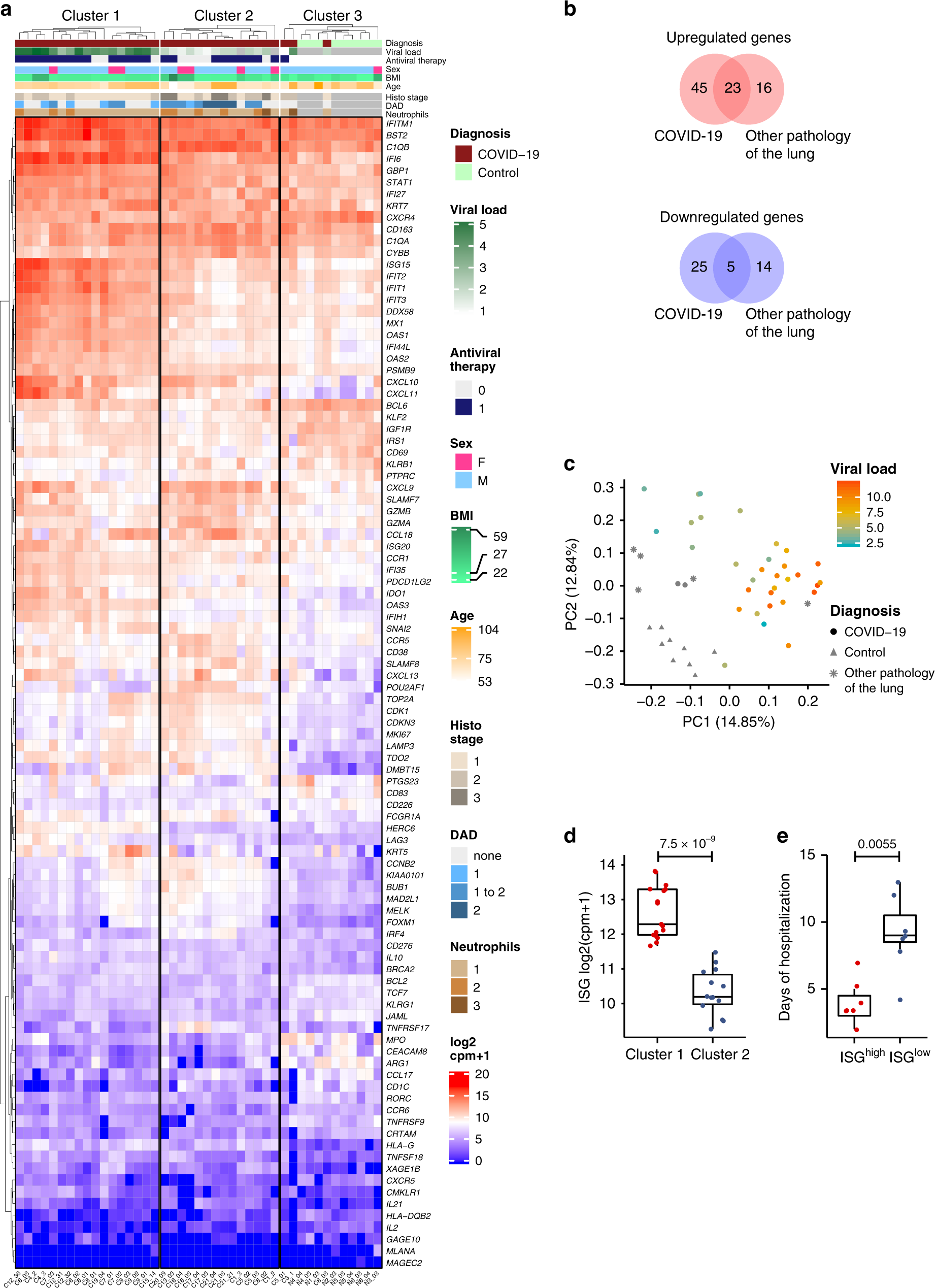 Two distinct immunopathological profiles in autopsy lungs of COVID-19 Nature Communications