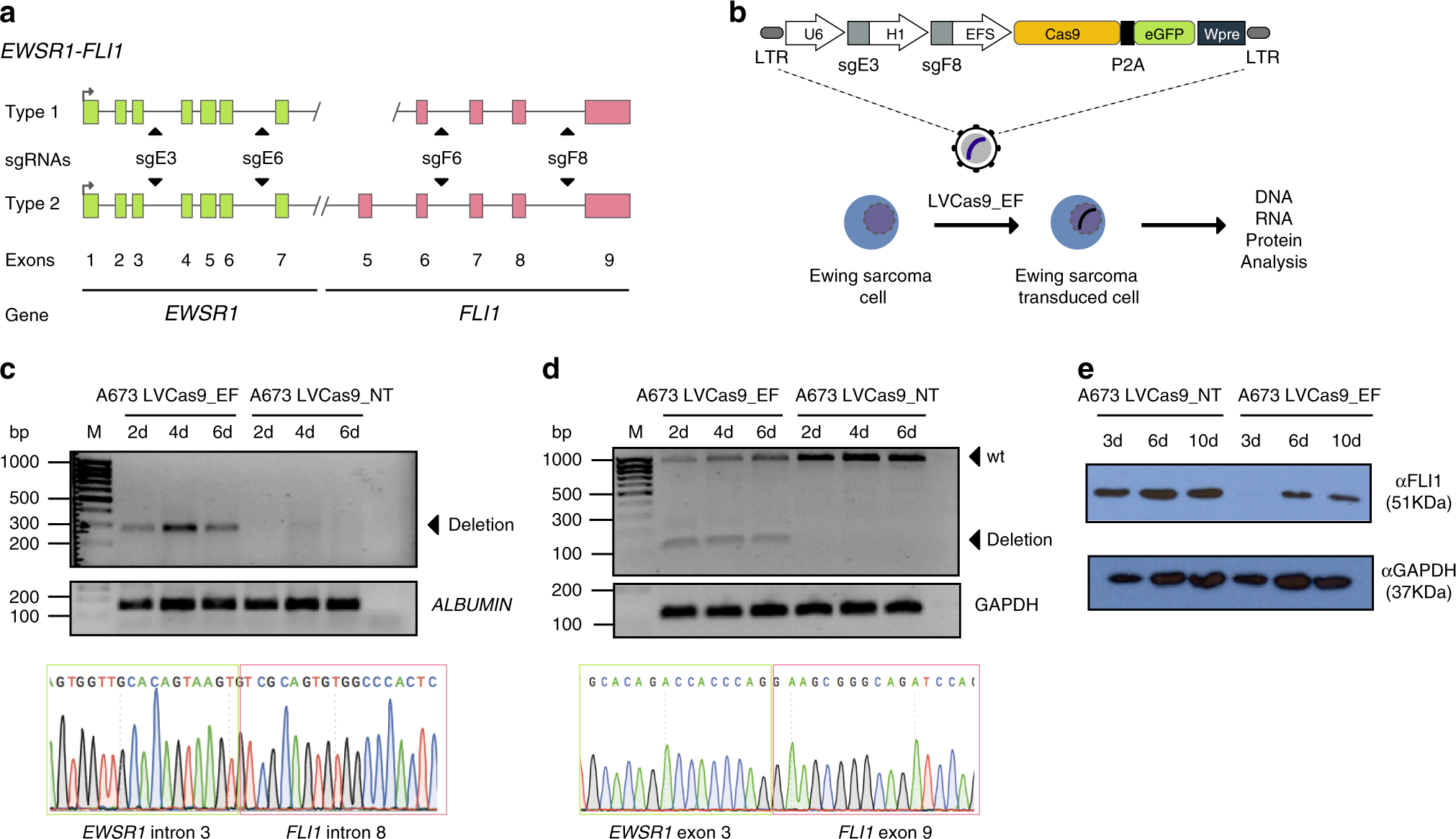 The In (vitro, vivo, silico)s and Outs of Research - InVivo Biosystems