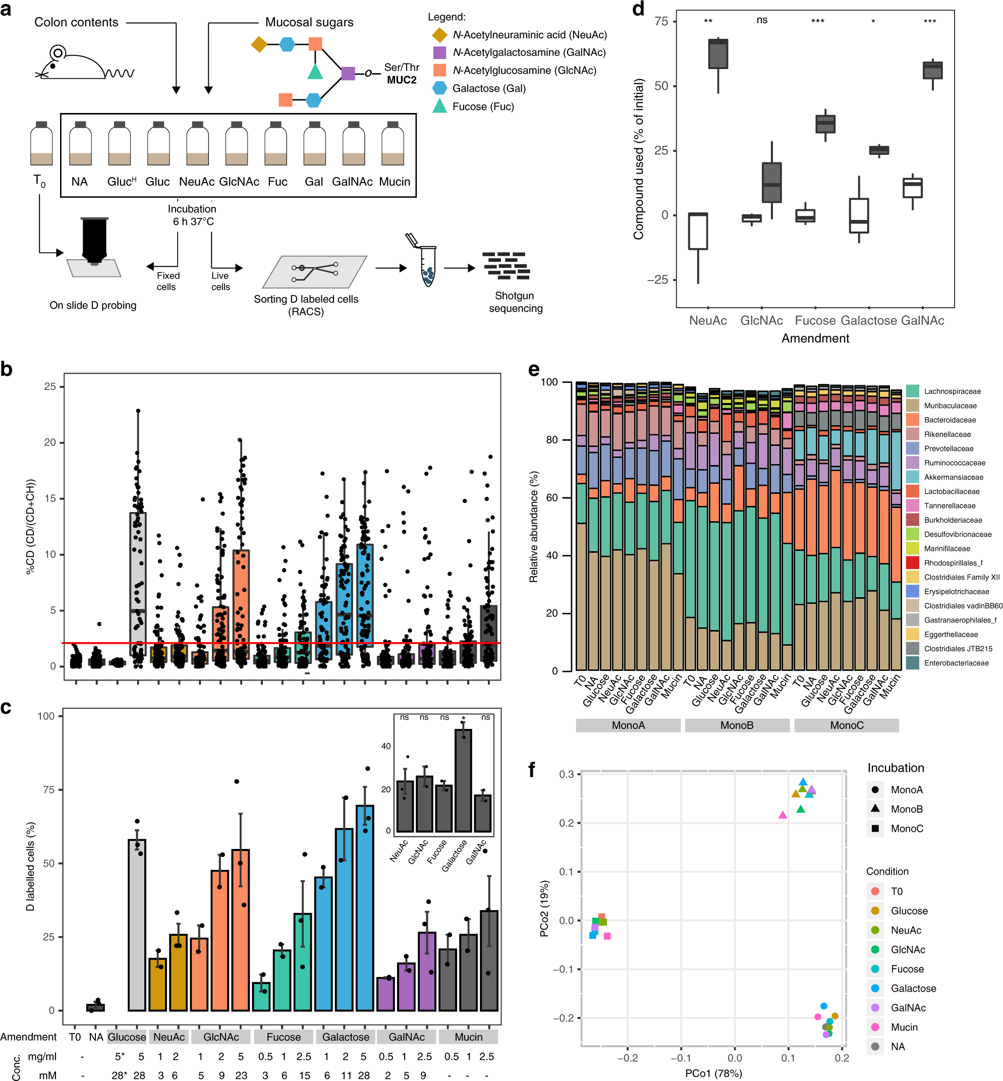 Rational Design Of A Microbial Consortium Of Mucosal Sugar Utilizers Reduces Clostridiodes Difficile Colonization Nature Communications