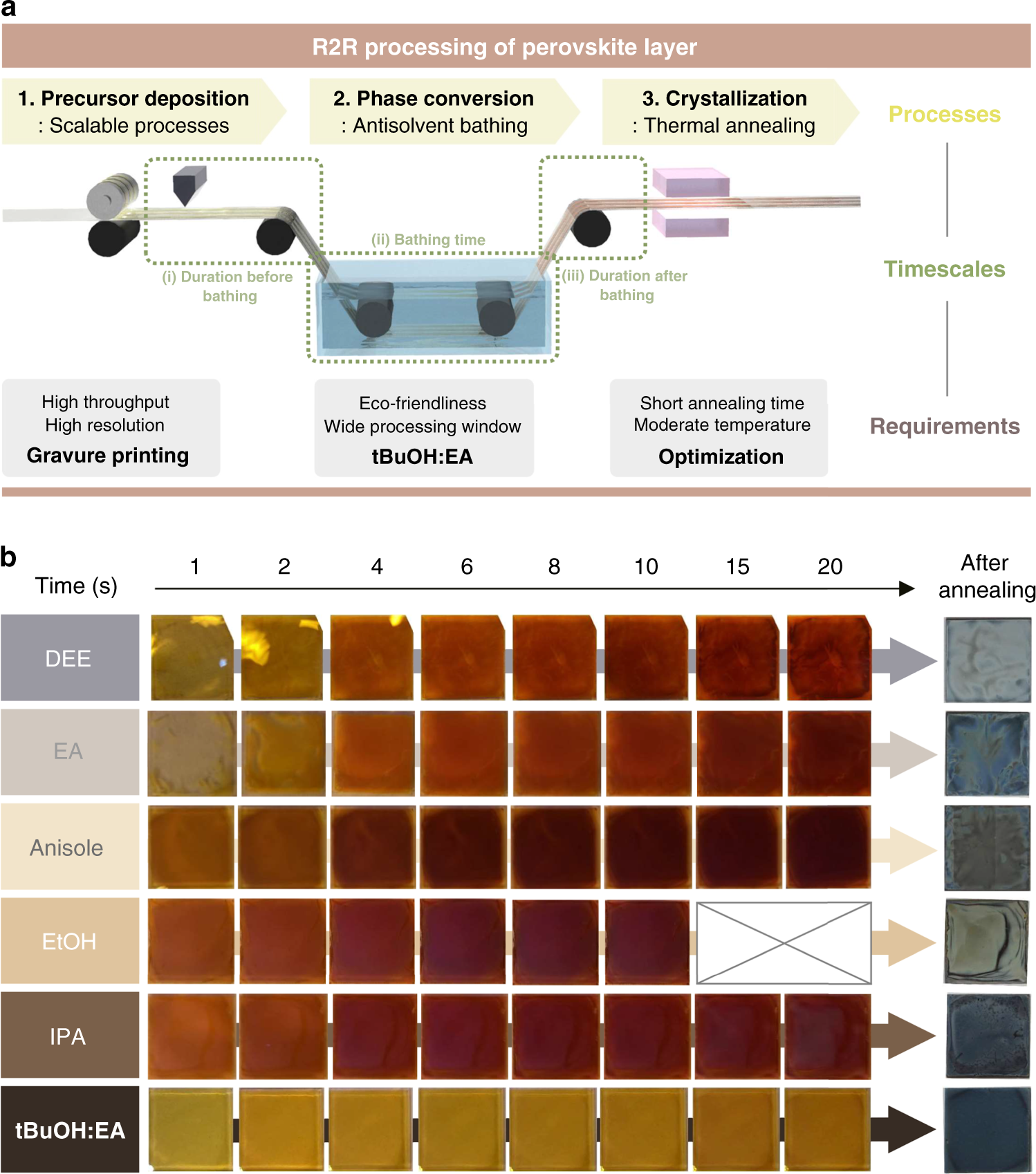 Slot-Die Coated Perovskite Films Using Mixed Lead Precursors for