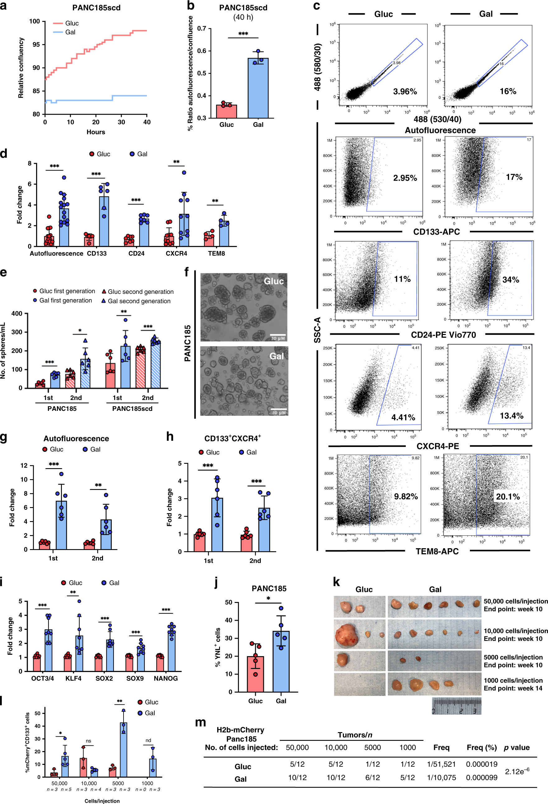 Fig. 2: Gal-CC are enriched in PaCSCs.