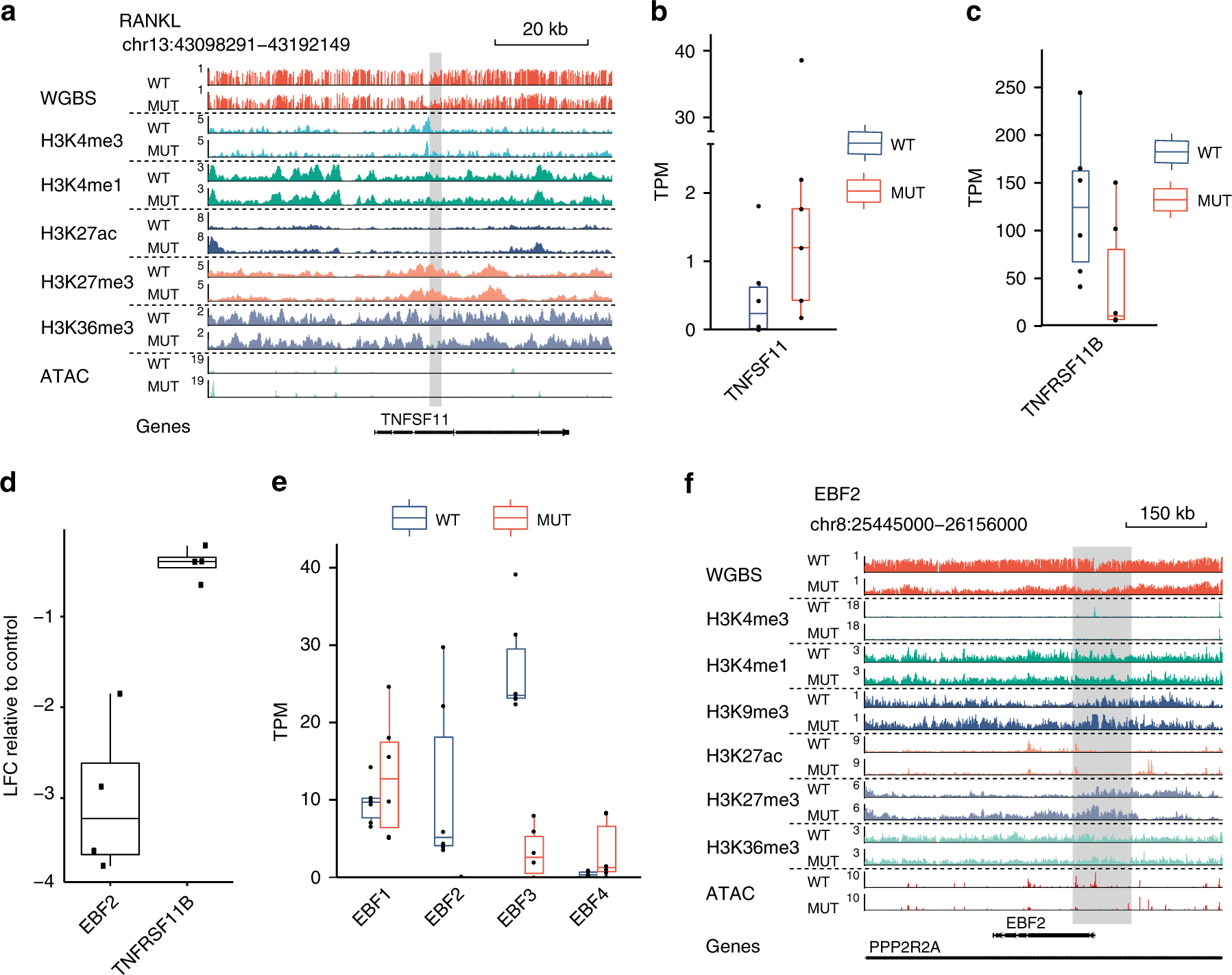 Fig. 5: The epigenetic determinants of the osteolytic phenotype in GCTB.