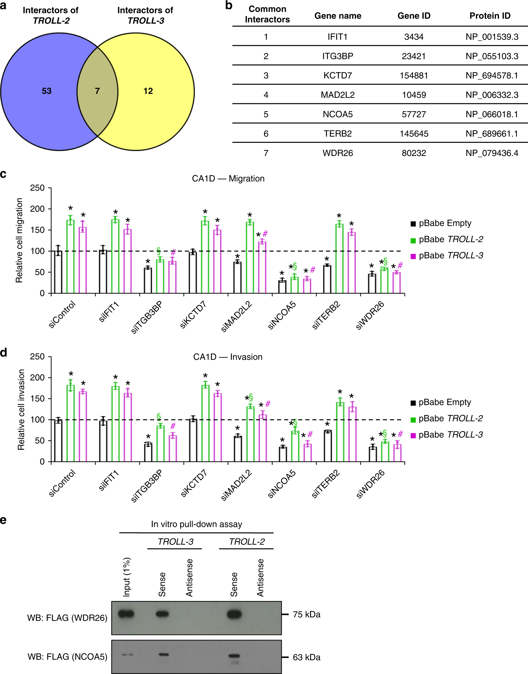 Fig. 3: TROLL-2 and TROLL-3 promote cancer progression via WDR26.