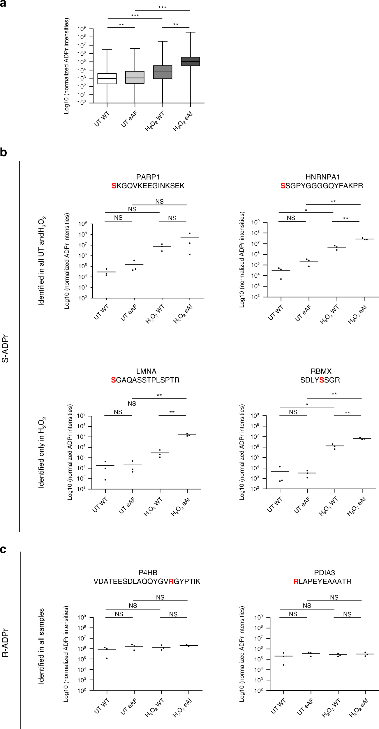 Fig. 3: eAf1521 strongly enriches for Ser-ADP-ribosylation.