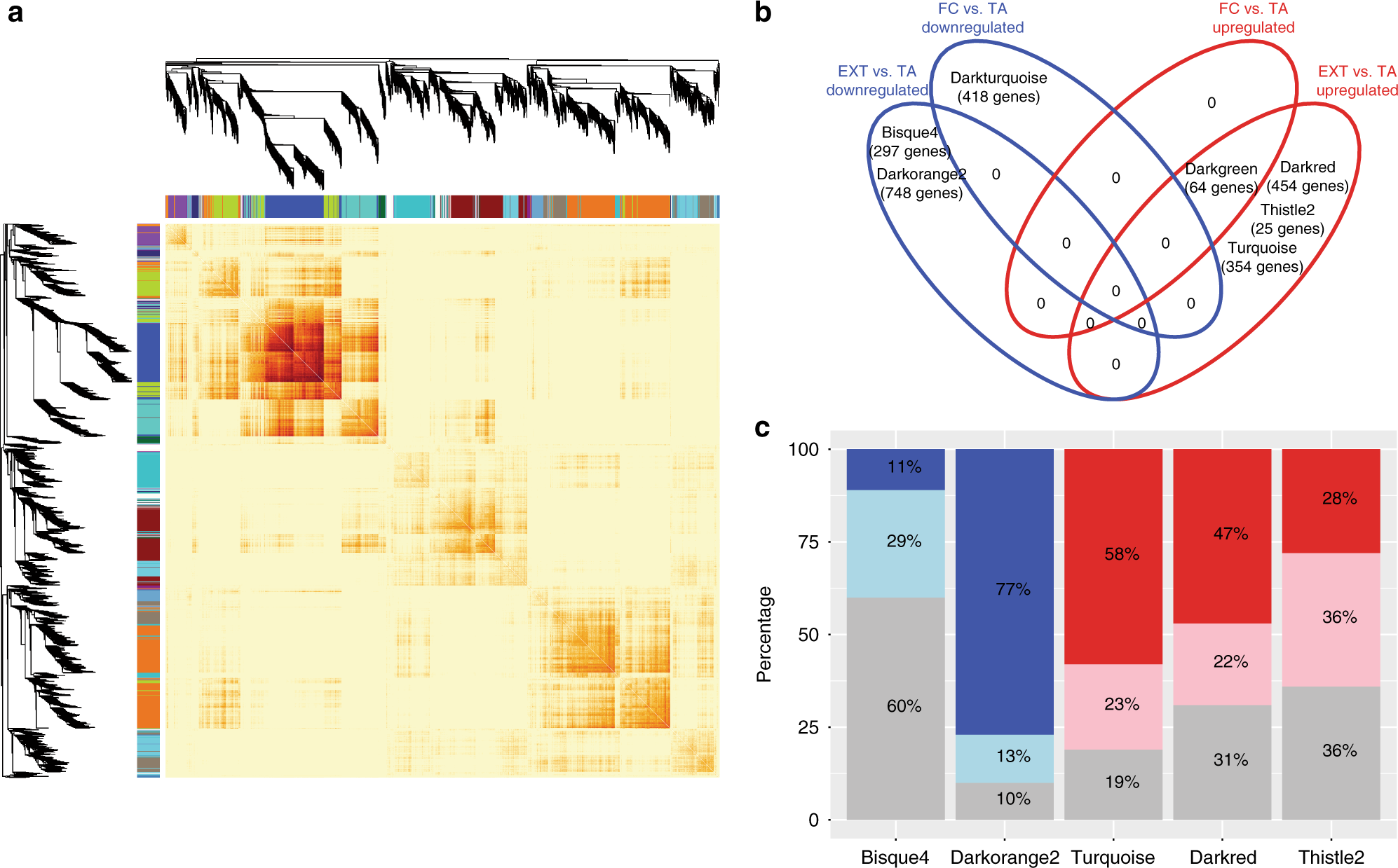 Fig. 3: WGCNA identifies gene networks associated with EXT.