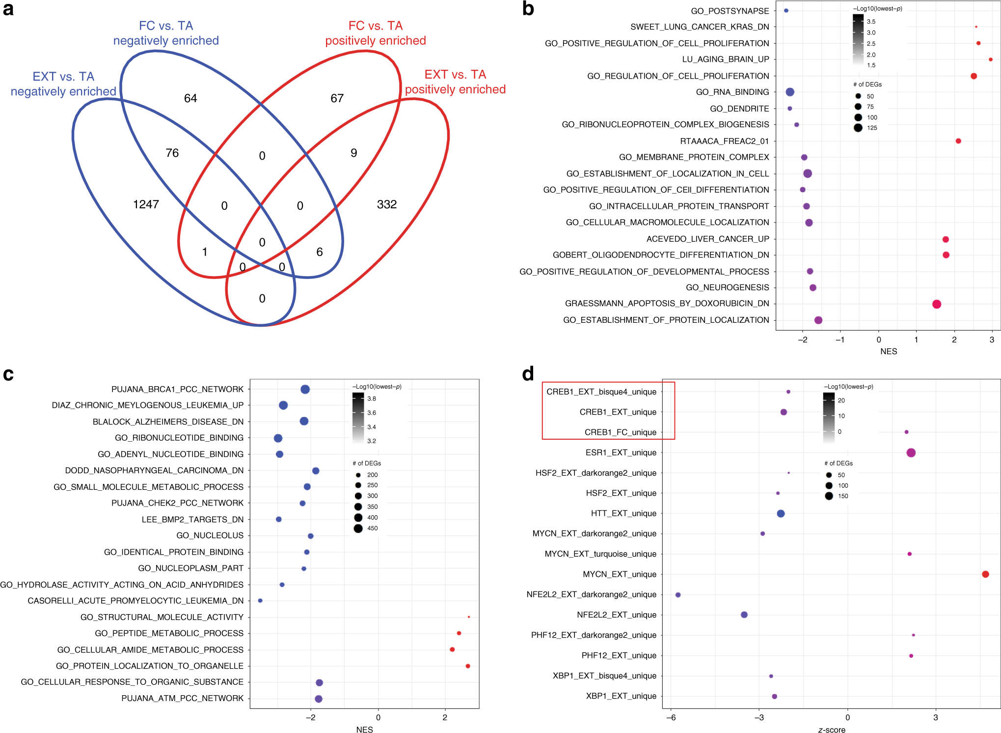 Fig. 4: GSEA and URA of FC- and EXT-associated differential expression across sexes.