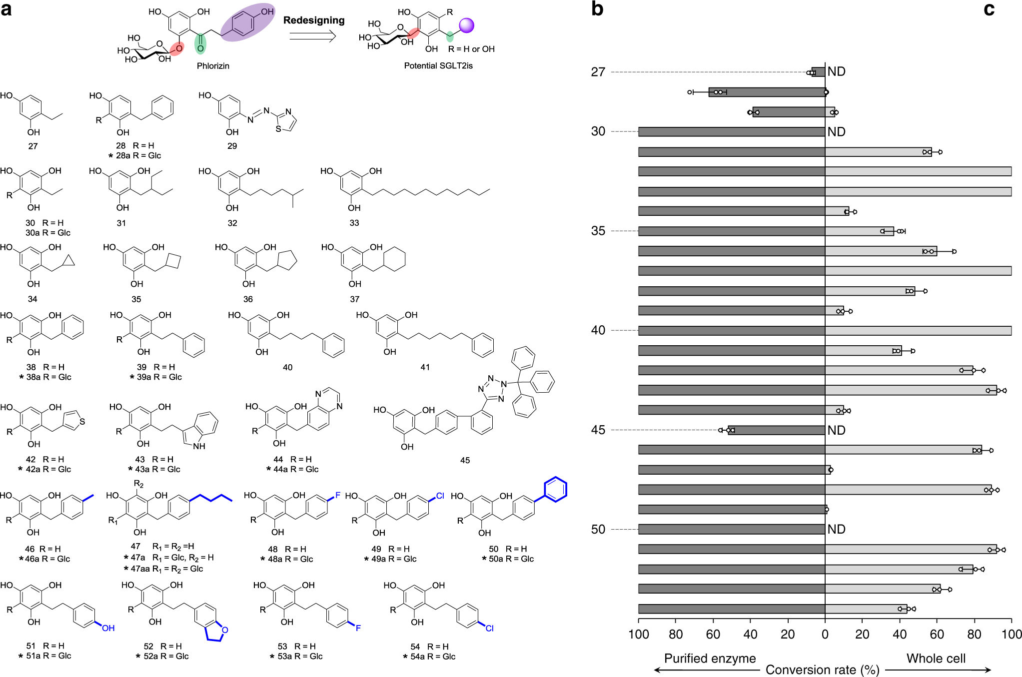 Fig. 2: Establishing a chem-biosynthesis method for potential SGLT2 inhibitors.