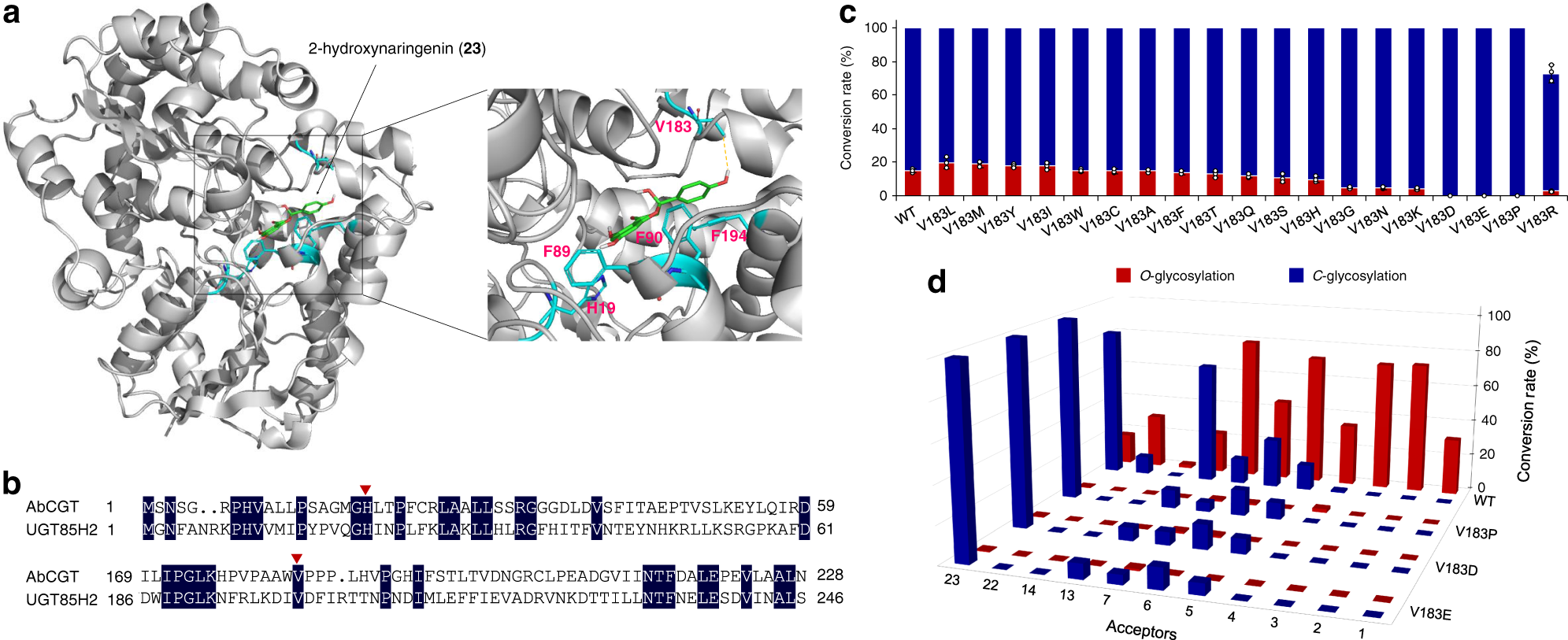 Fig. 6: Engineering the catalytic specificity of AbCGT in C-/O-glycosylation.